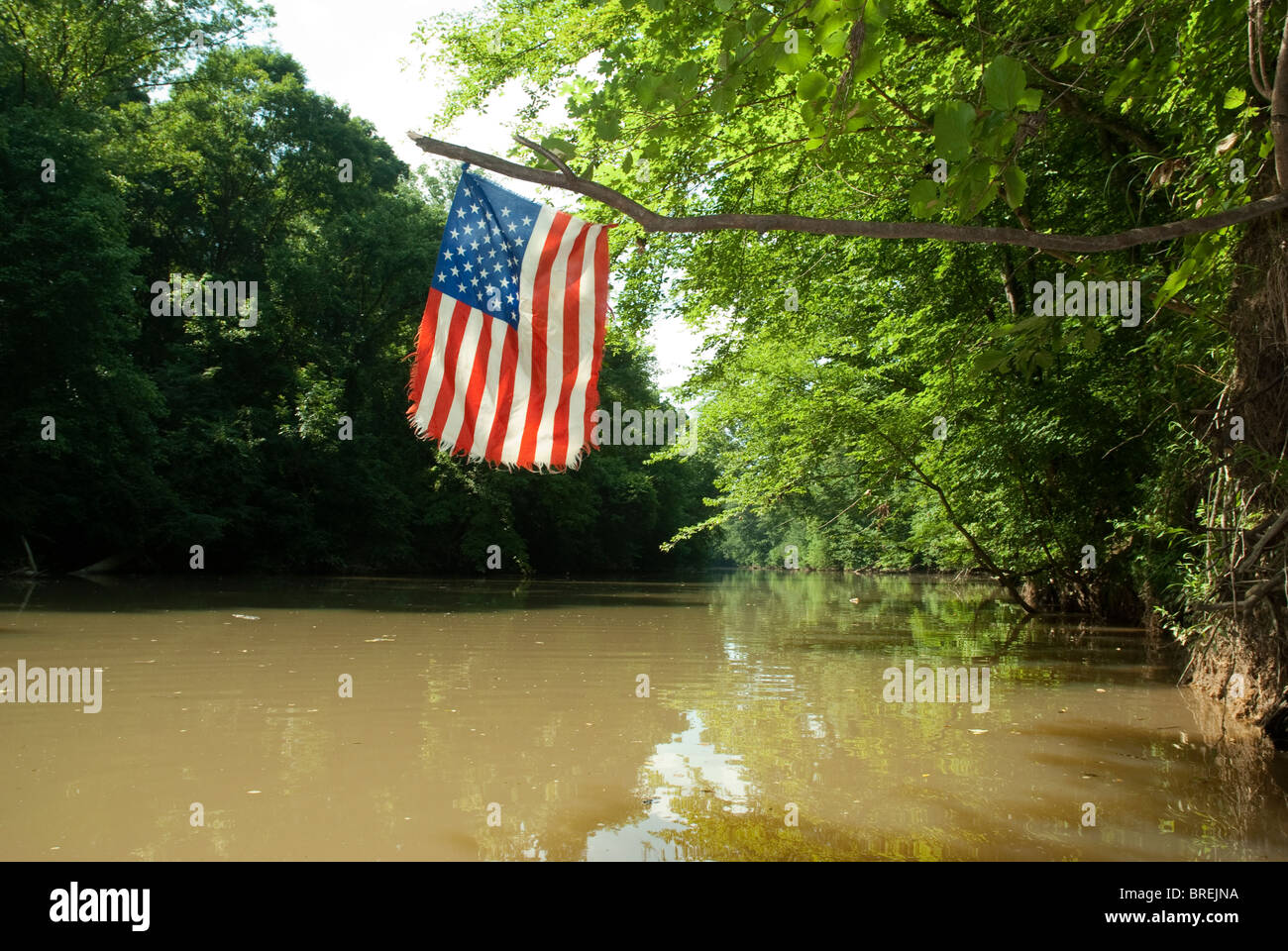 Bandiera americana oltre il Fiume Cahaba Foto Stock