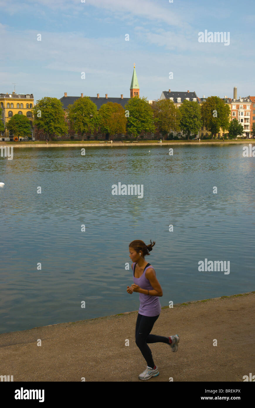 Pareggiatore femmina lungo Sortedams così lago artificiale centrale di Copenhagen DANIMARCA Europa Foto Stock