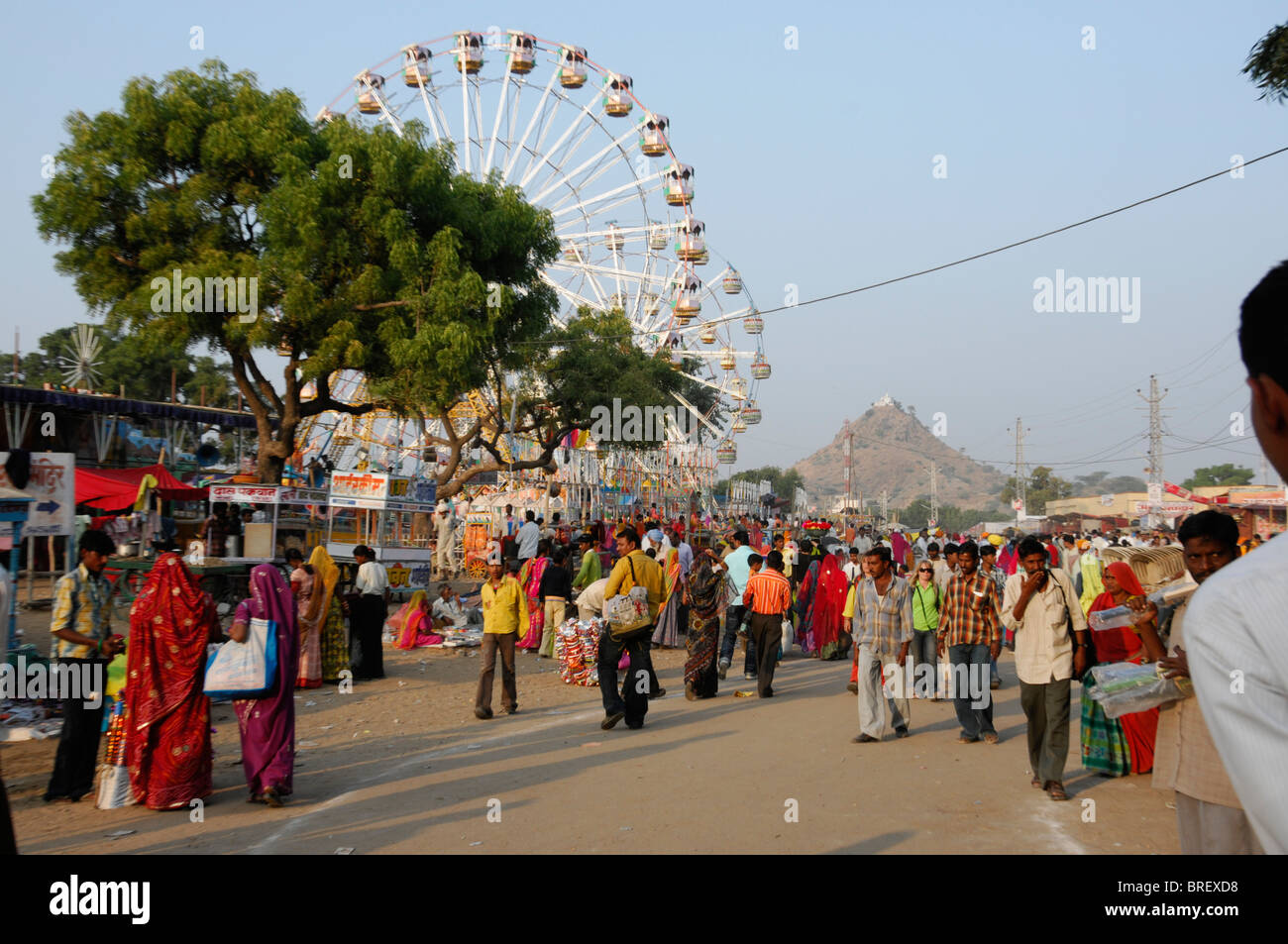 Pushkar Mela, il più grande il cammello e il mercato del bestiame, Pushkar, Rajasthan, India del Nord, Asia Foto Stock