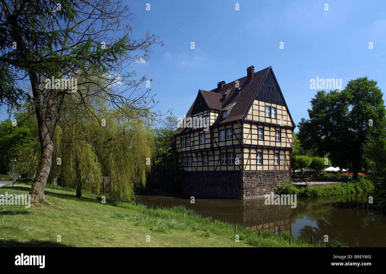 Il castello di Wittringen, Gladbeck, Renania settentrionale-Vestfalia, Germania, Europa Foto Stock