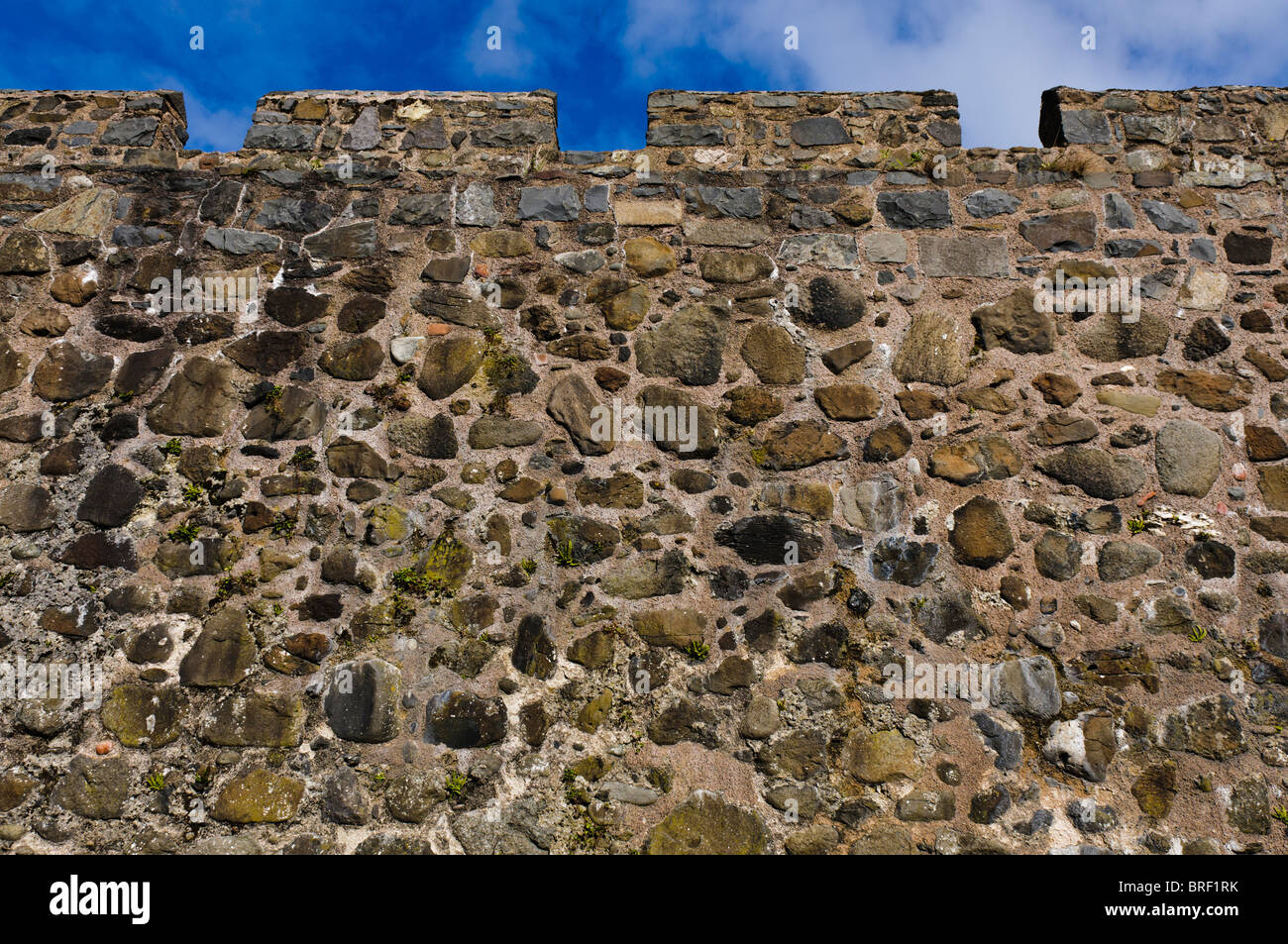 Castello difensivo muro a Carrickfergus Castle Foto Stock