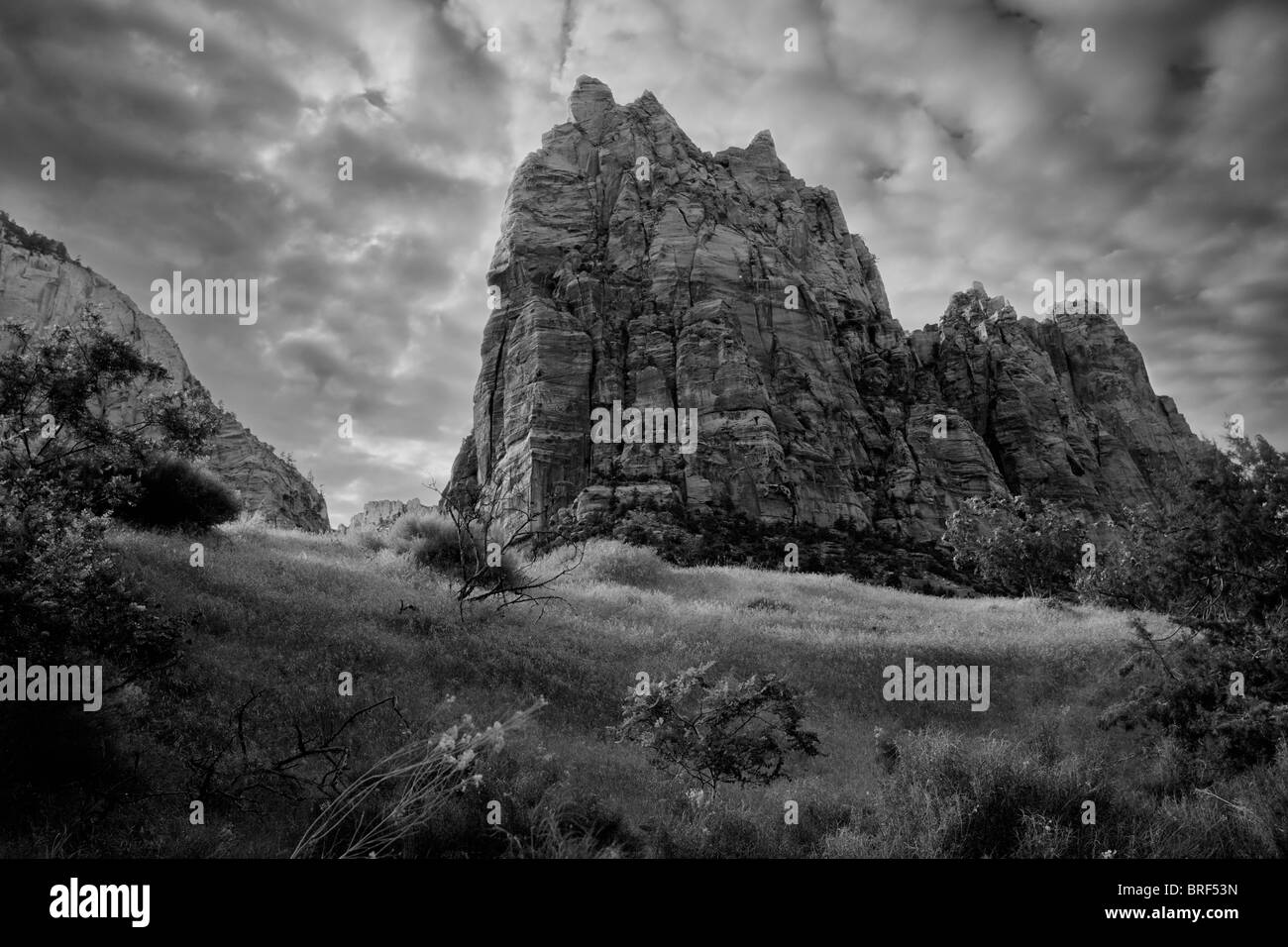 Parco Nazionale di Zion Foto Stock