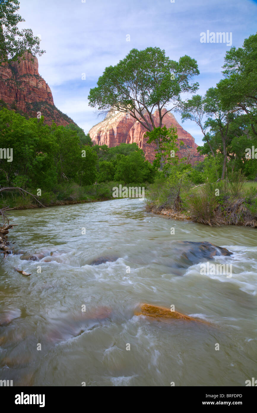 Fiume vergine nel Parco Nazionale di Zion Foto Stock