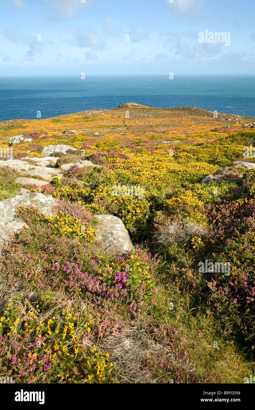 Vista mare da Carn Llidi tor, St David's Head, Pembrokeshire, Galles Foto Stock