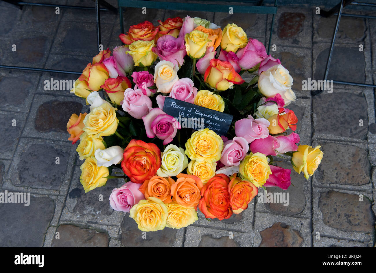 Selezione di rose, lille, Francia Foto Stock