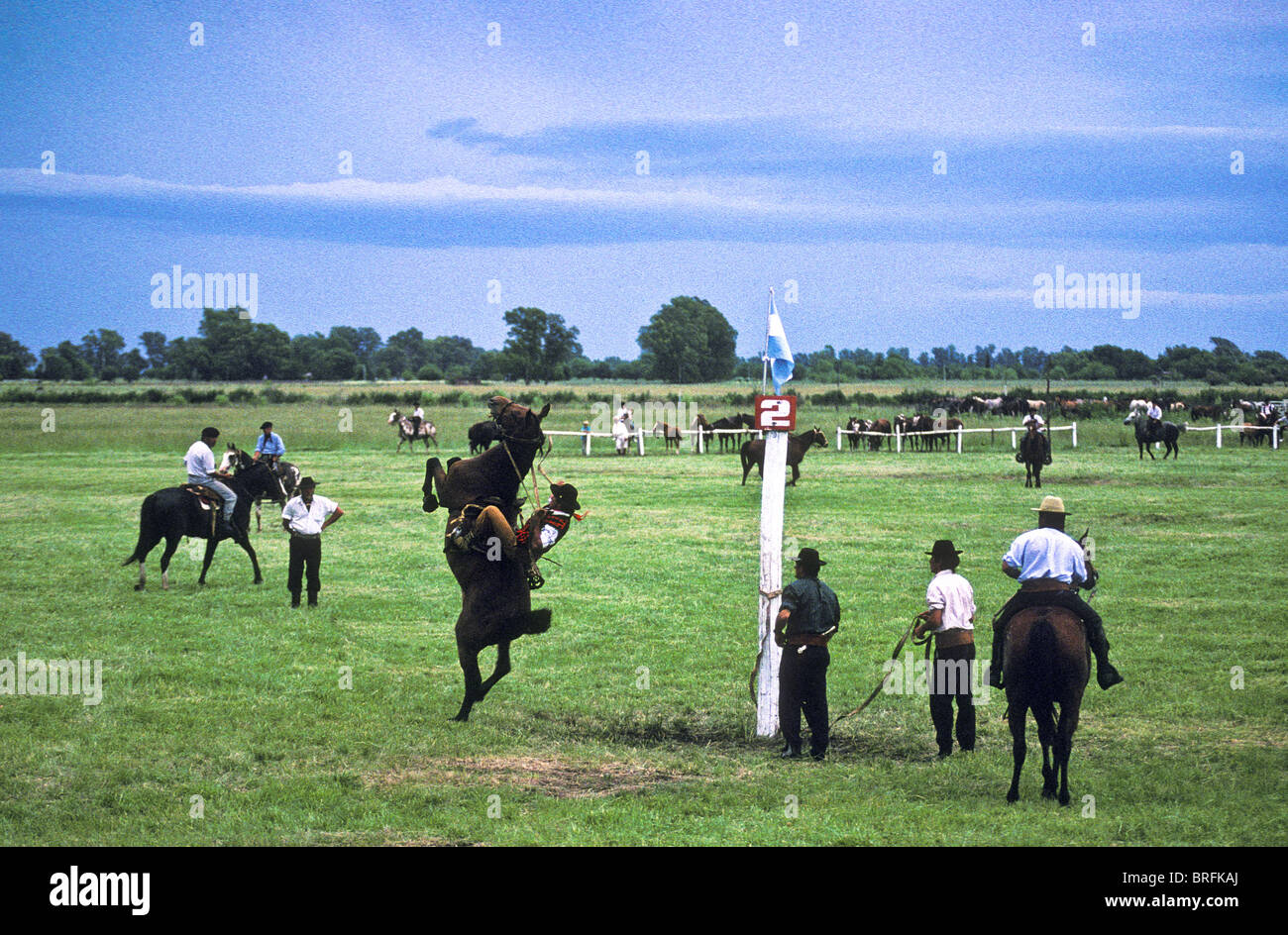 Gauchos a cavallo della concorrenza di rottura (noto come Jineteada) su un ranch, simile a bronco strappi. Lincoln, Buenos Aires, Arg Foto Stock