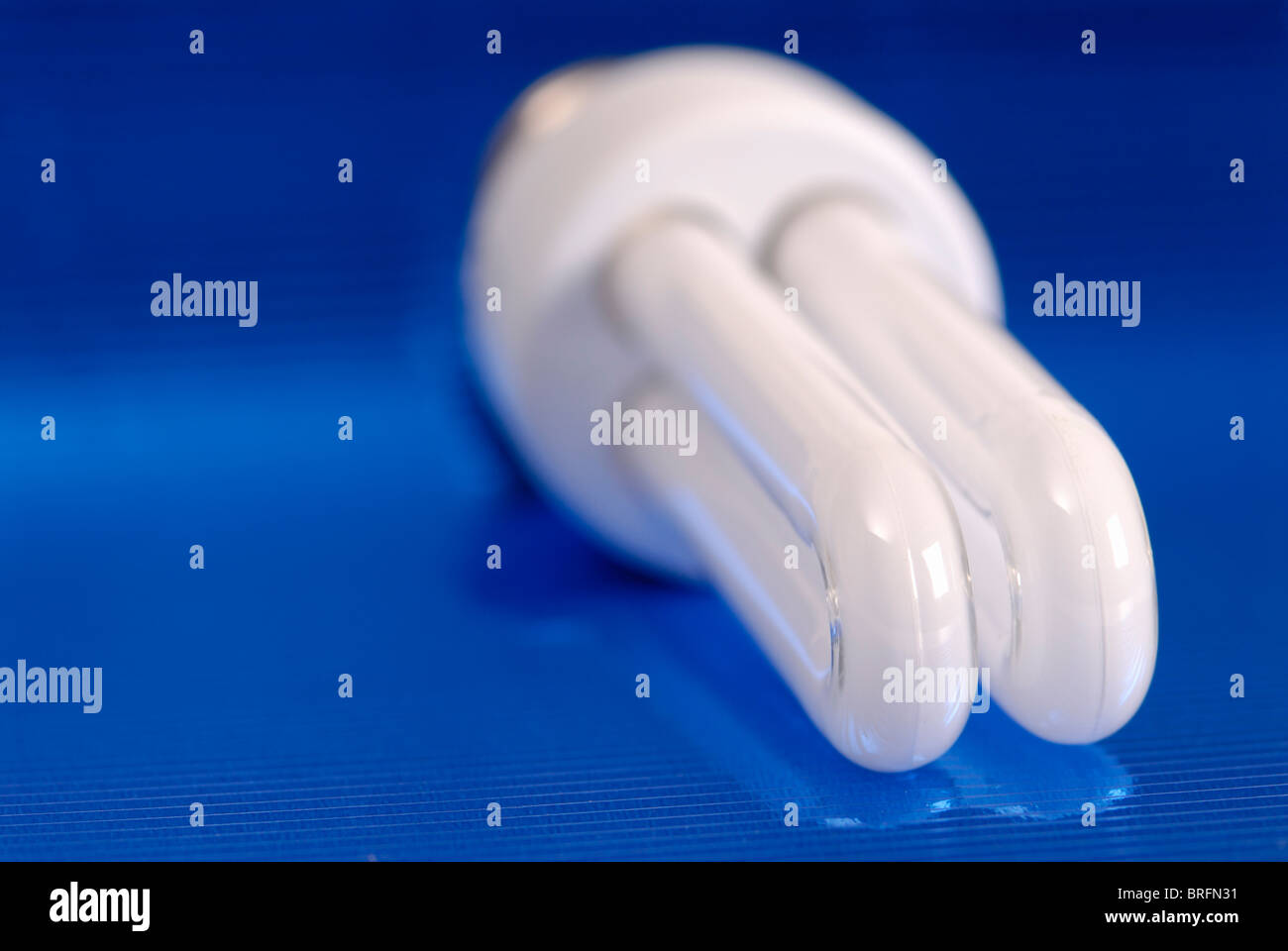 Lampadina a risparmio energetico Foto Stock