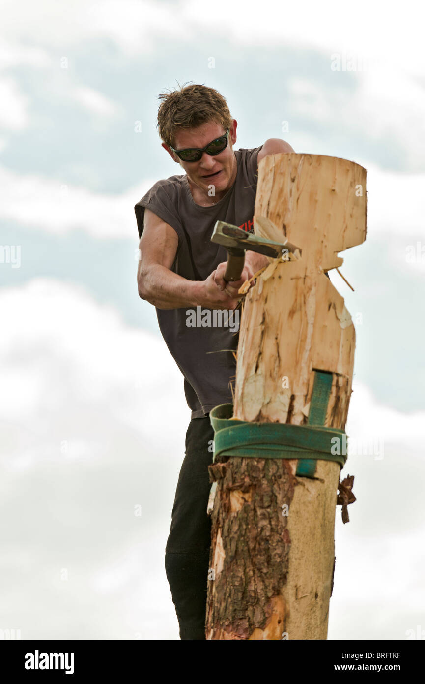 Legno concorso di trinciatura. Westmorland spettacolo agricolo Foto Stock