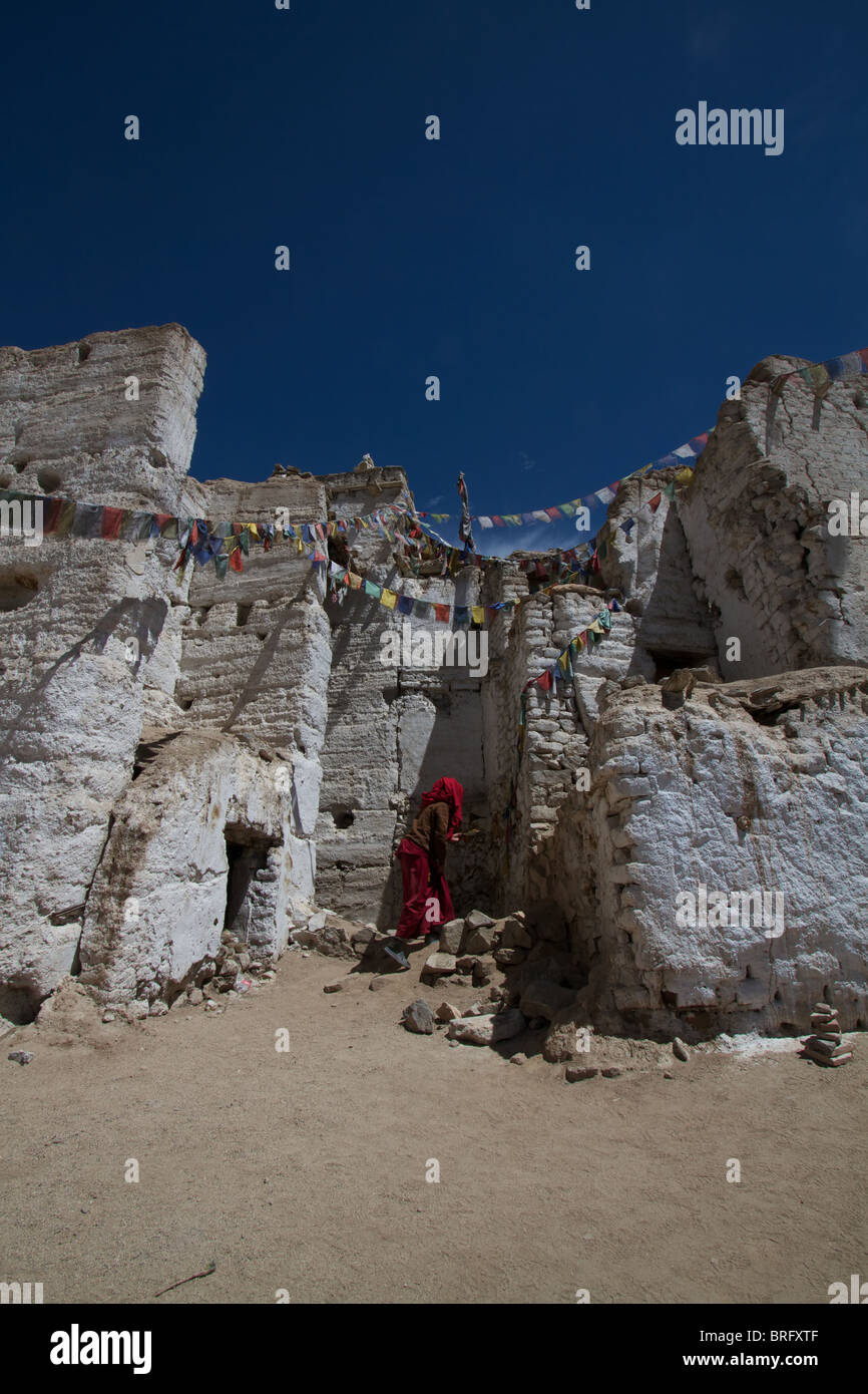Monaco presso il Namgyal Tsemo Gompa Foto Stock