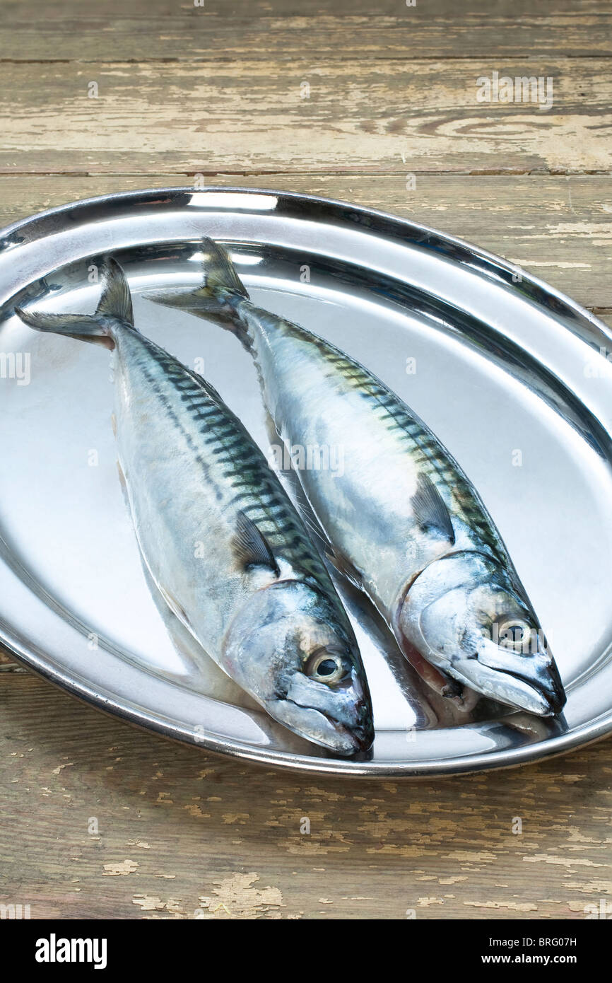 Due sgombro pesce di mare su di un piatto d'argento. Grande fonte di Omega 3  vitamina Foto stock - Alamy