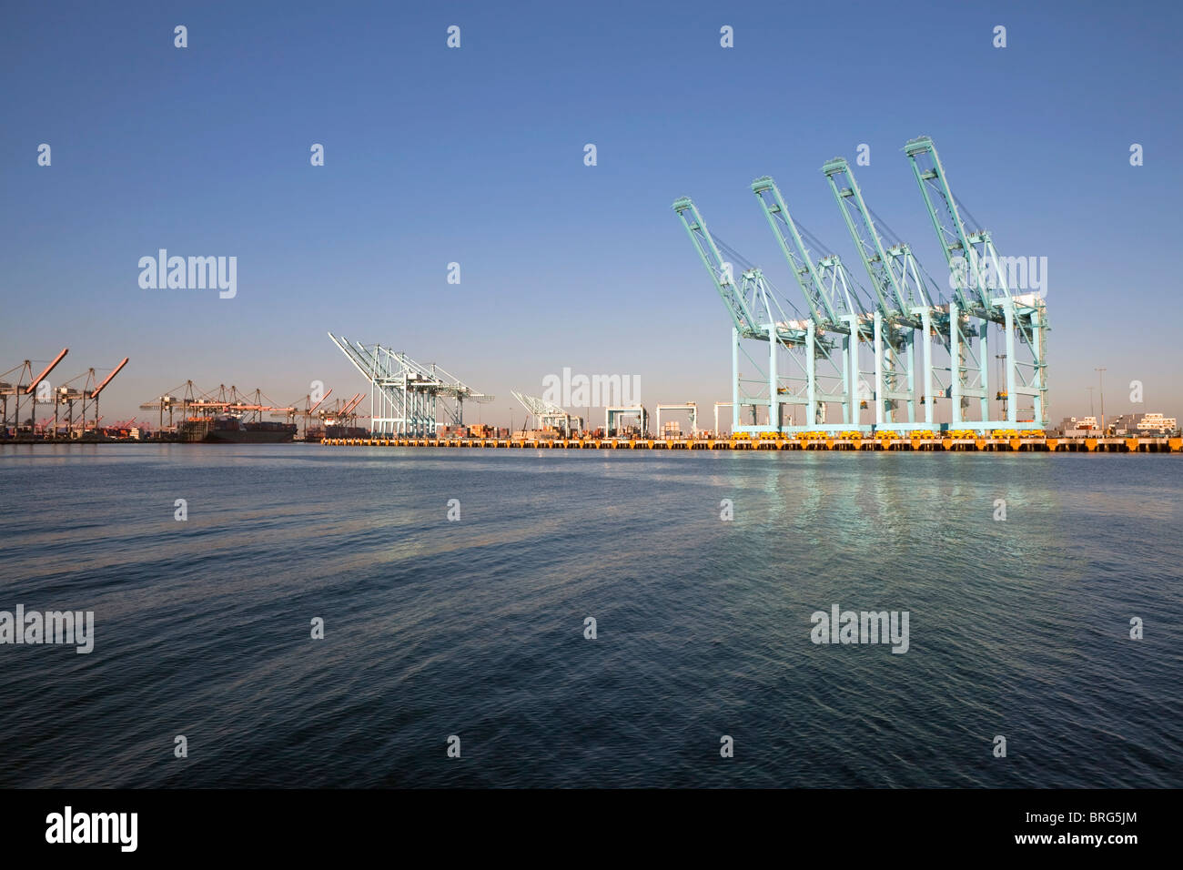 Mare giganti gru inattive in luce calda del pomeriggio. Foto Stock