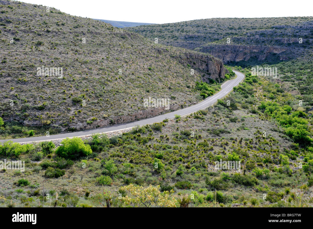 Parco nazionale di Carlsbad Cavern Foto Stock