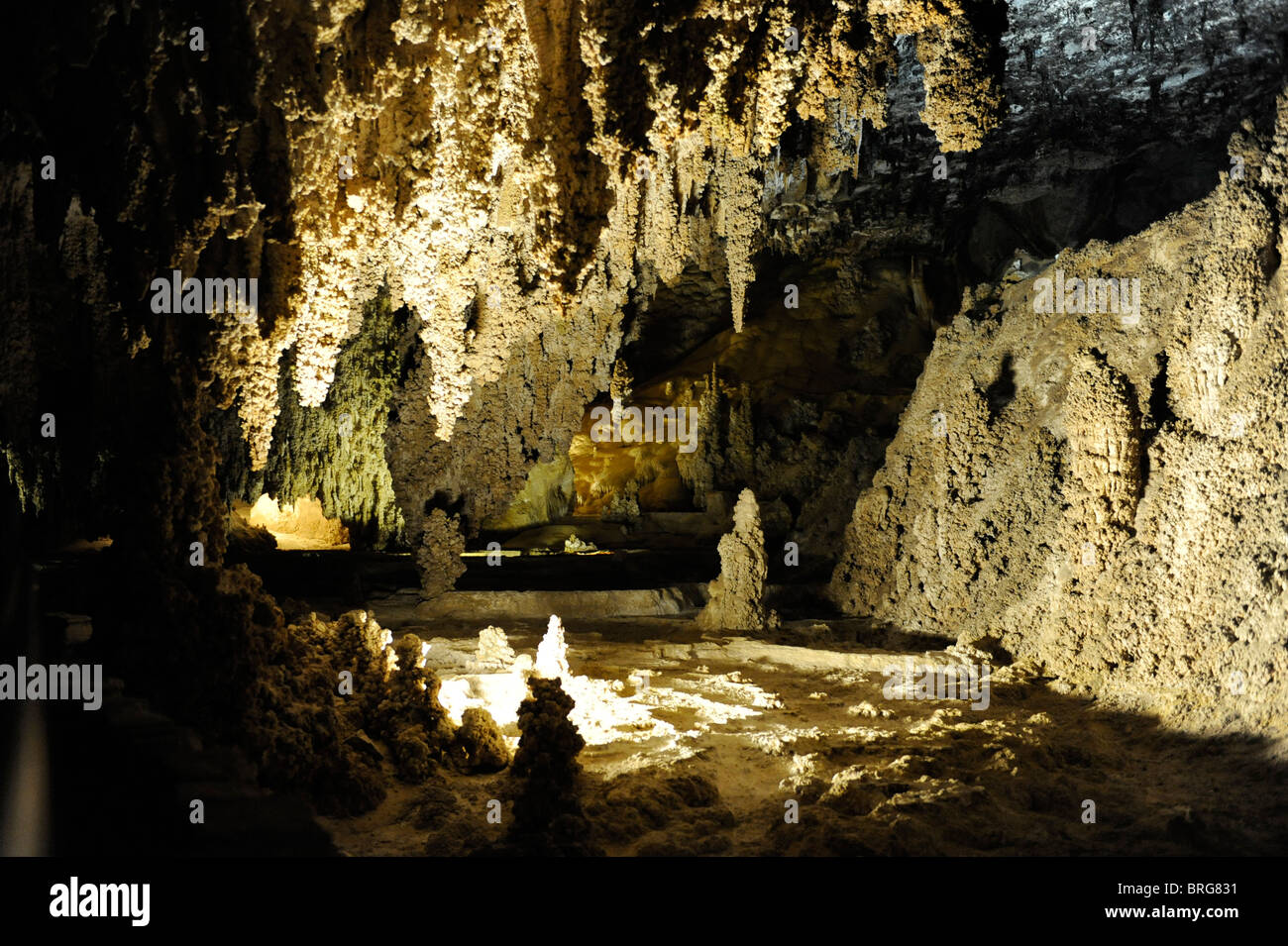 Parco nazionale di Carlsbad Cavern nuove grotte del Messico Foto Stock