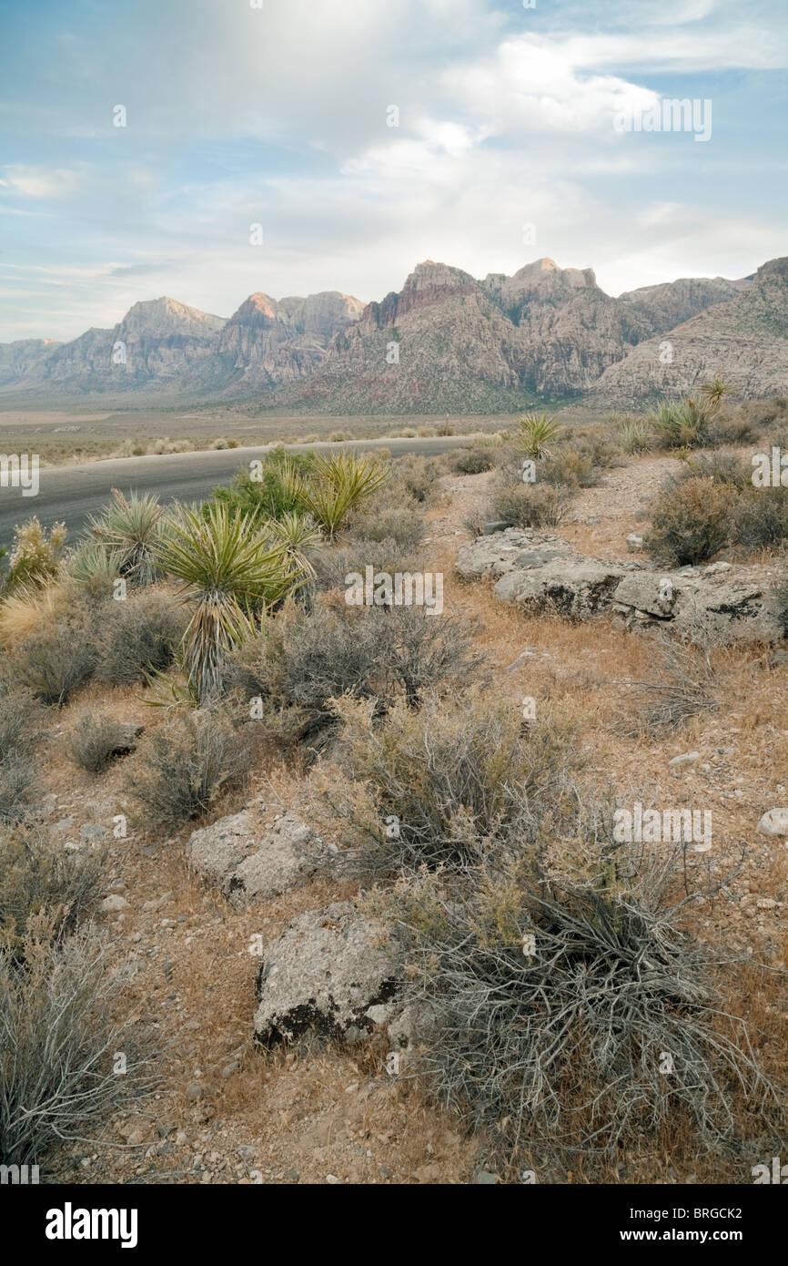 Il Red Rock Canyon al tramonto, Las Vegas, Nevada USA Foto Stock