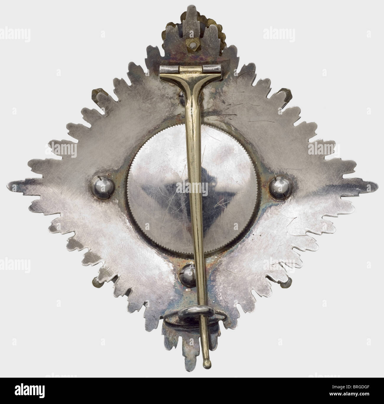 Microgreens Foglia Di Quercia Bionda - Innovazione Vincente IV.0