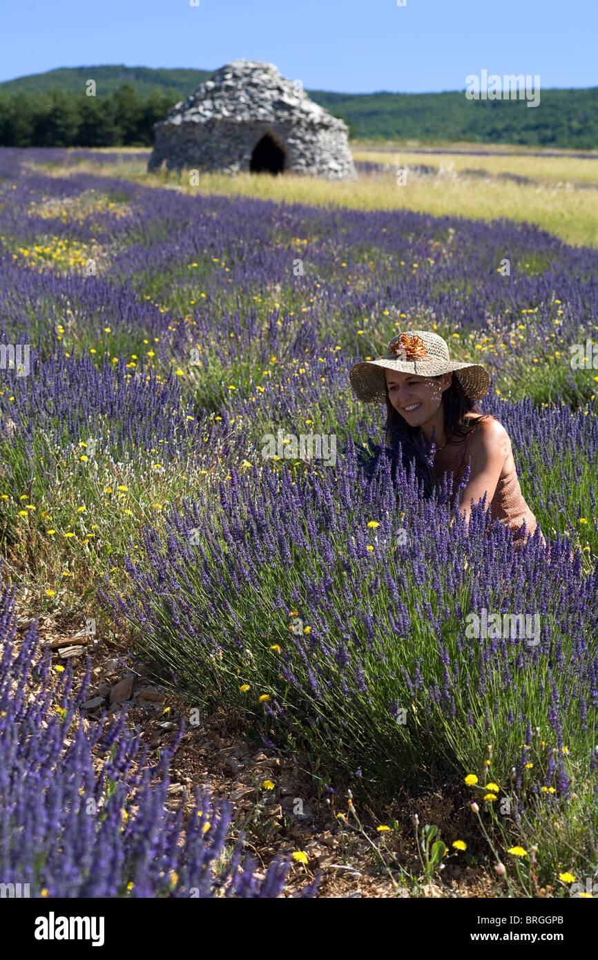 La donna in un campo di lavanda Foto Stock