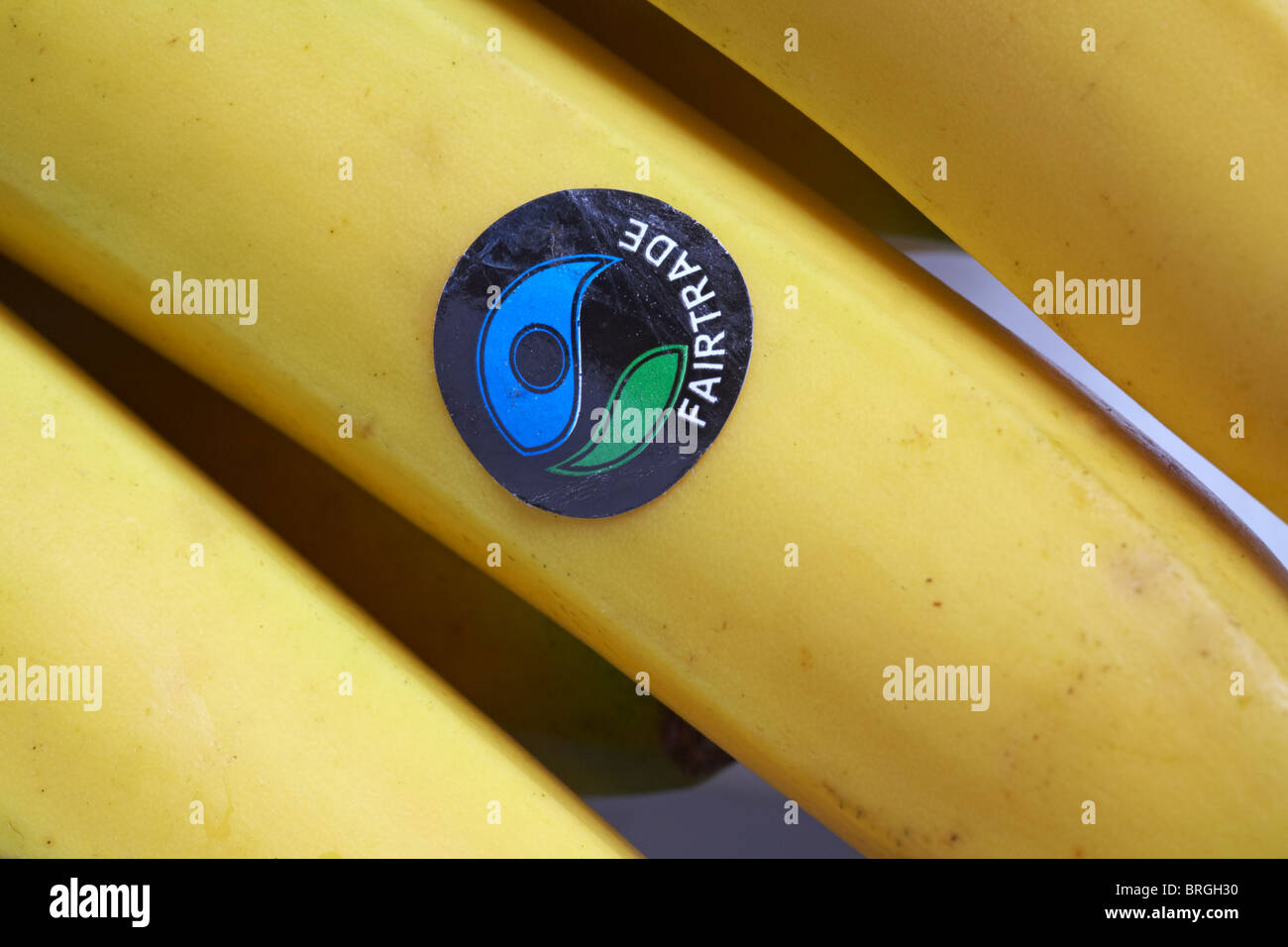 Fairtrade adesivo con Fairtrade logo su bloccato sul mazzetto di banane Fairtrade - simbolo del logo del commercio equo e solidale Foto Stock