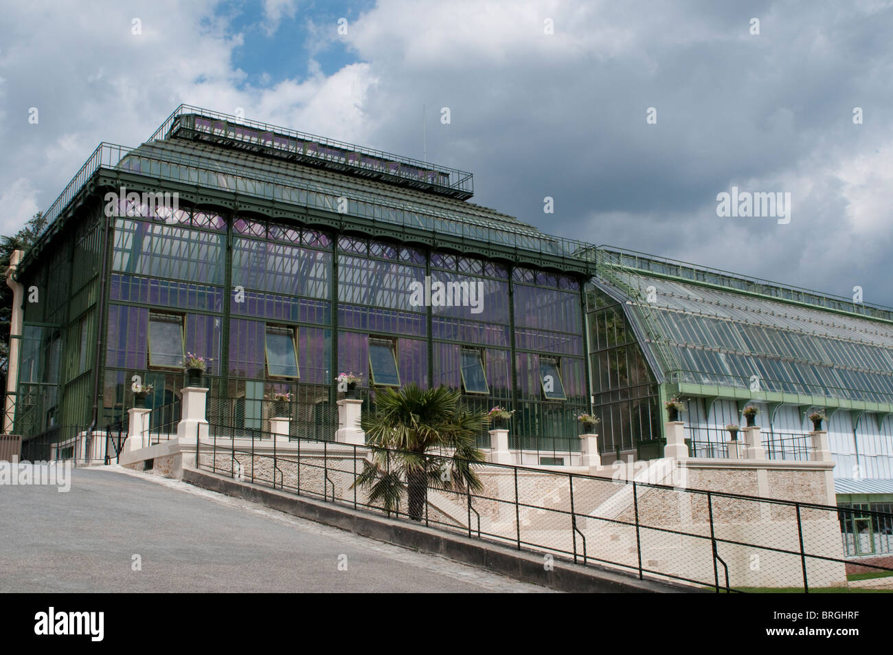 Serra, Jardin des Plantes e al Giardino Botanico, Parigi, Francia Foto Stock