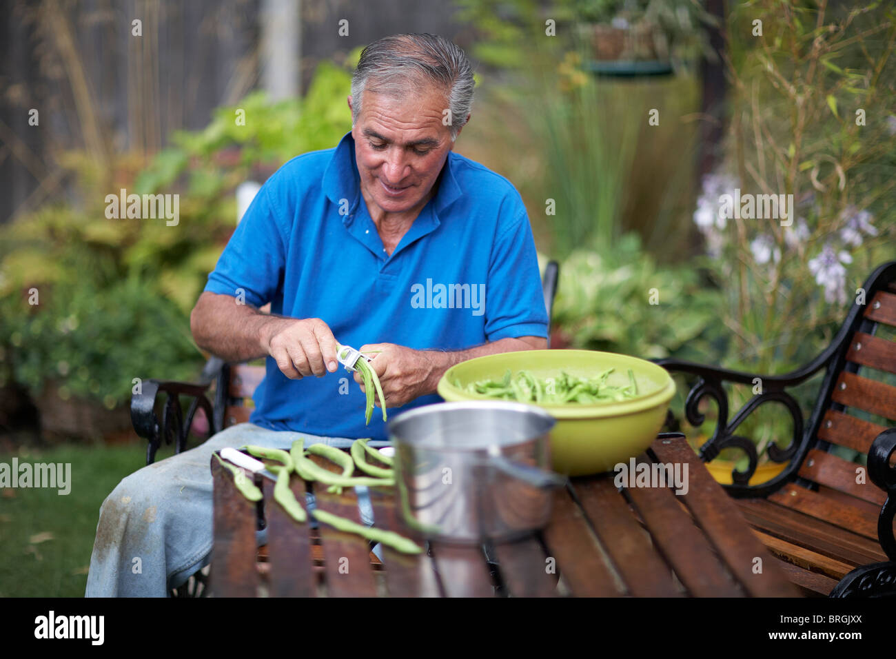 Uomo in pensione età 65-75 anni preparando cresciuto in casa i baccelli fuori nel giardino inglese Foto Stock