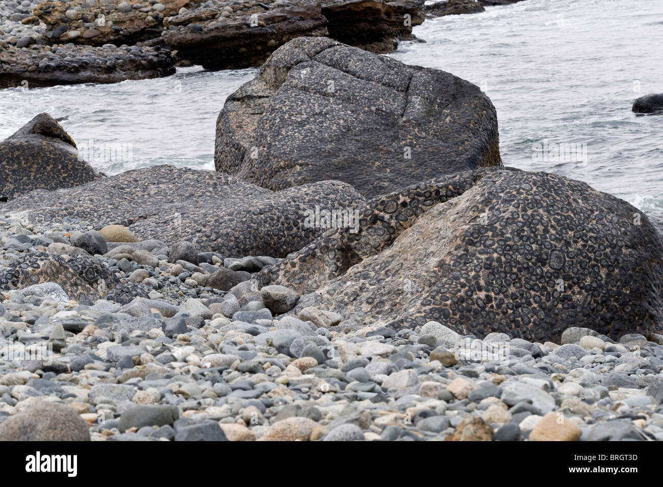 Il orbicular roccia di granito in Granito Orbicular Santuario de la Naturaleza Rodillo Pacific Coast Atacama cile america del sud Foto Stock