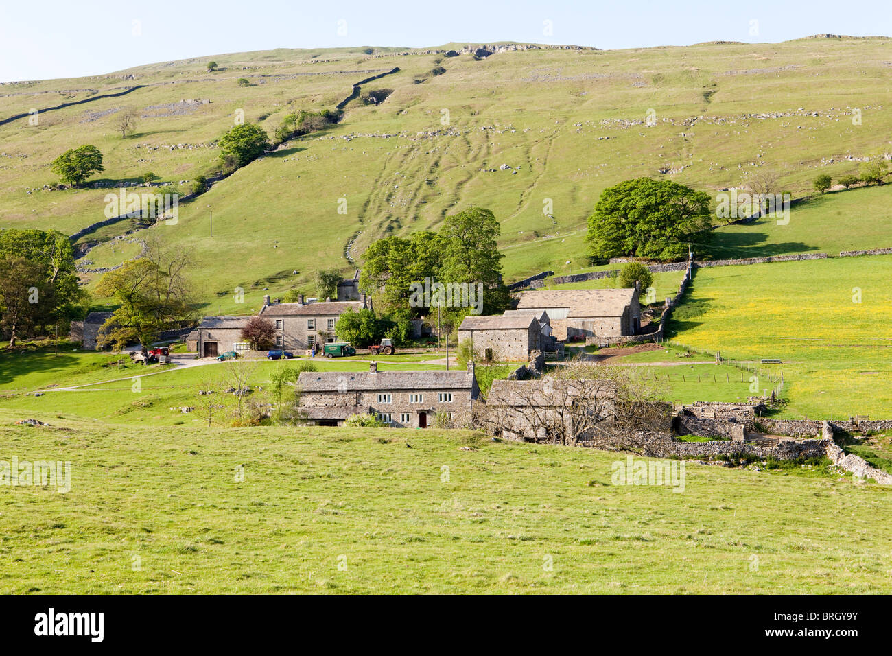 Il Farm at Yockenthwaite in Langstrothdale nel Yorkshire Dales National Park, North Yorkshire Foto Stock
