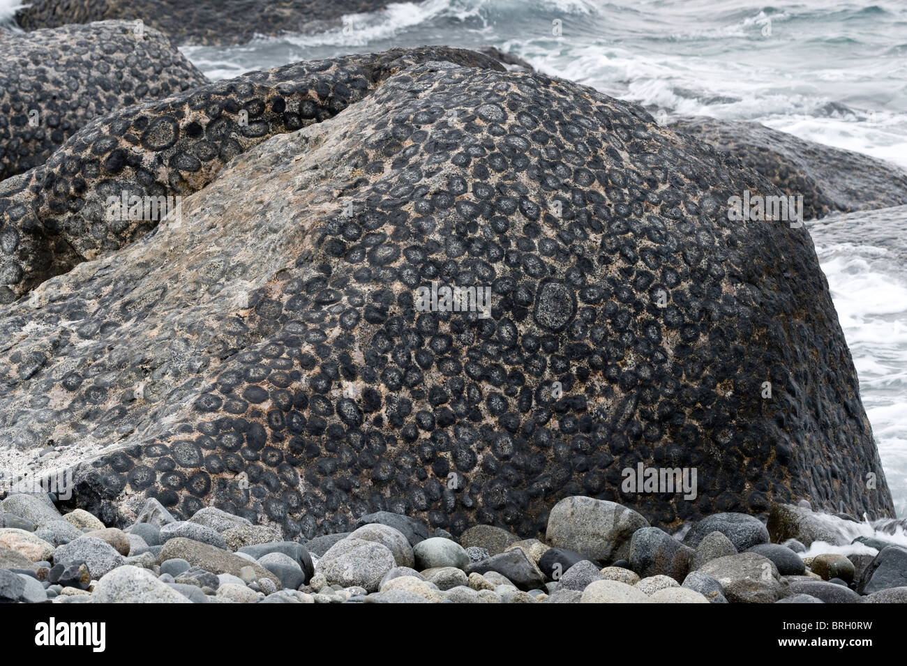 Il orbicular di roccia di granito Granito Orbicular Santuario de la Naturaleza Rodillo costa del Pacifico deserto di Atacama cile america del sud Foto Stock