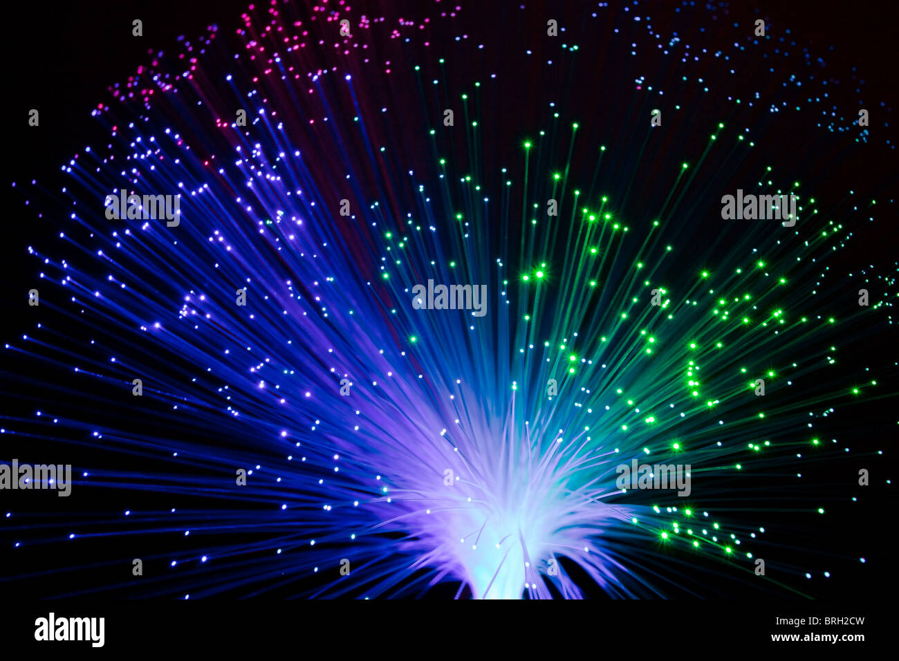 Illuminata colorato in fibra ottica lampada su sfondo nero Foto Stock