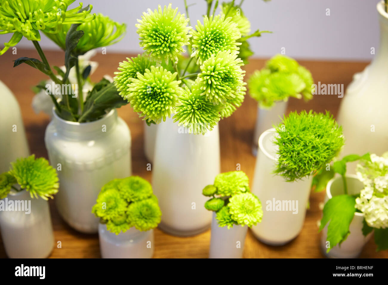 Tagliare vasi con fiori Foto Stock