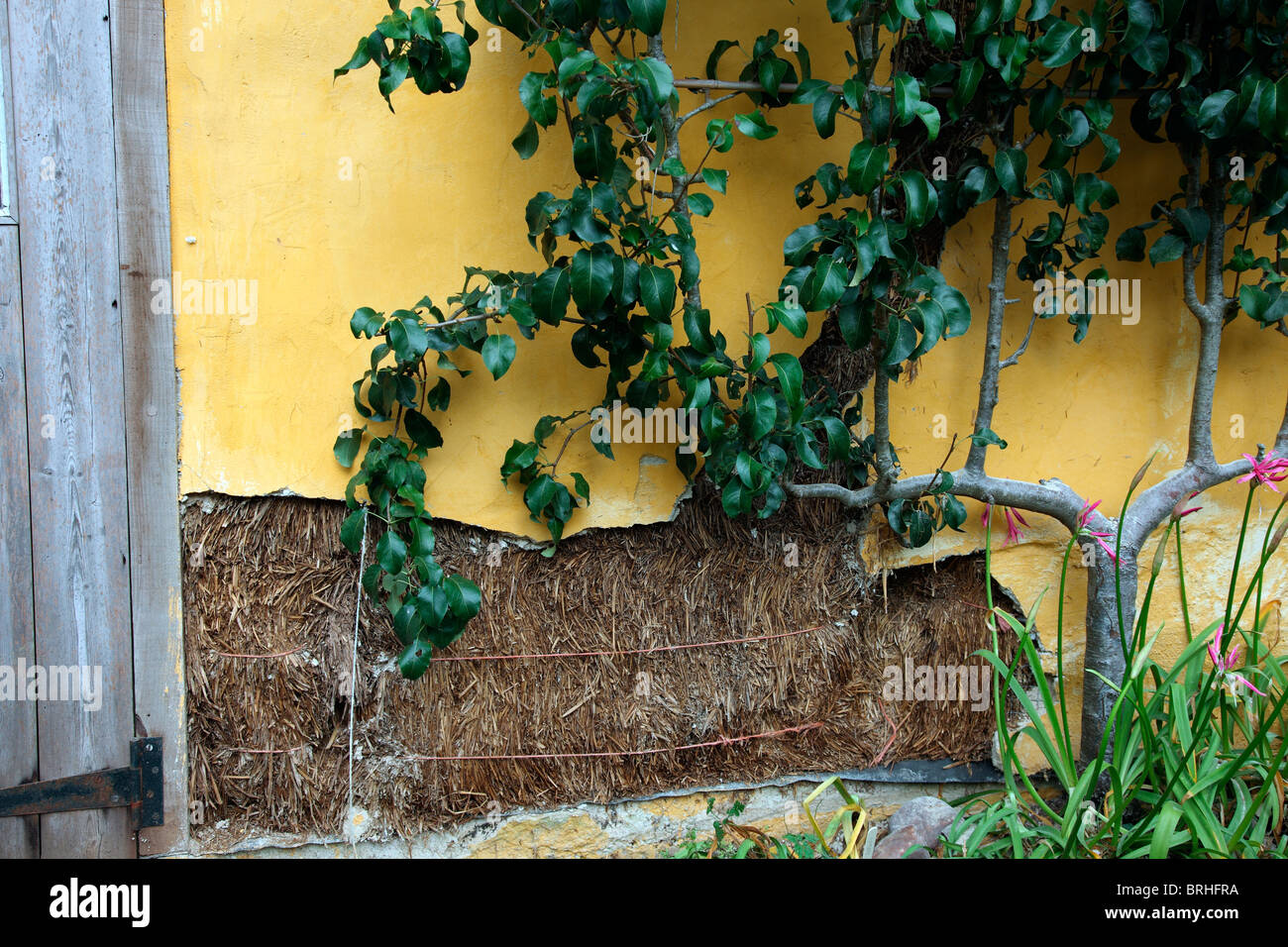 Balle di paglia edificio - riparazione di intonaci calce che dopo 15 anni aveva incrinato causata dalla sedimentazione delle balle di grano Foto Stock