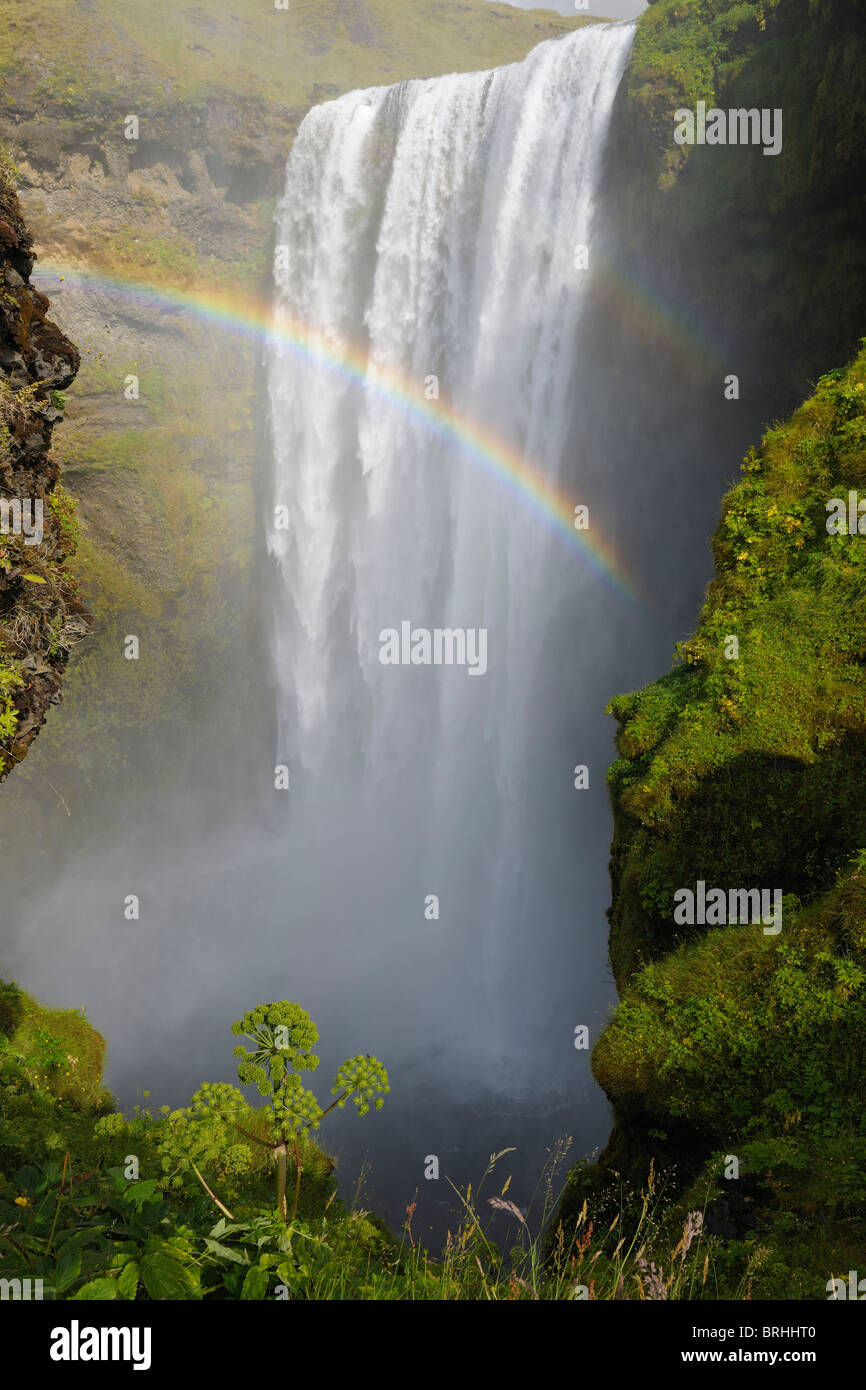 Rainbow su Skogafoss cascata, Skogar, Sud Islanda Islanda Foto Stock