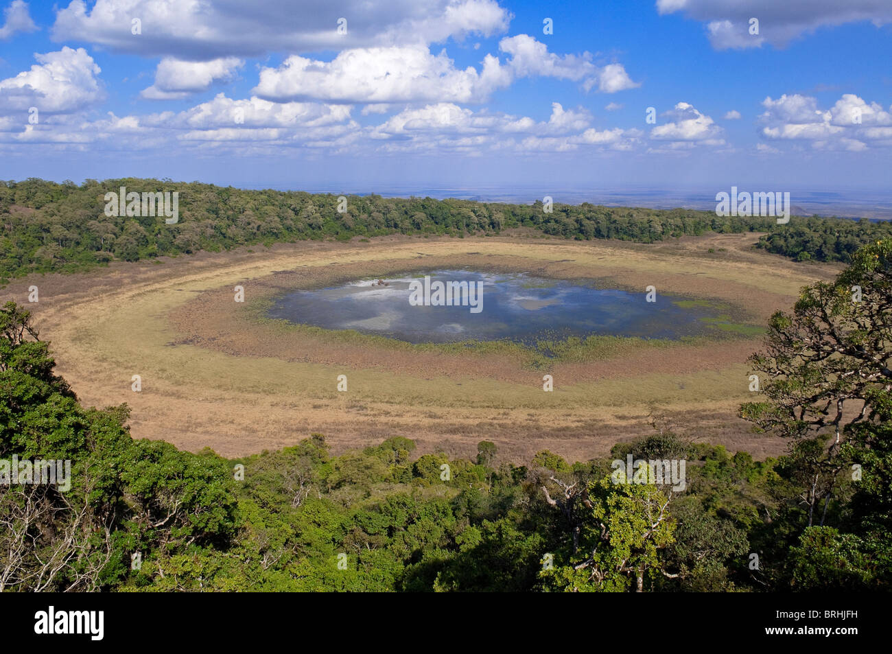 Cratere a Marsabit Parco nazionale e Riserva, distretto di Marsabit, Kenya Foto Stock