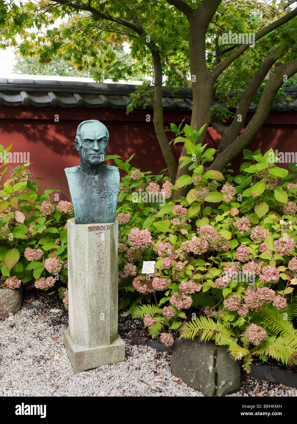 Busto in Von Siebold Memorial Garden di Hortus Botanicus Leiden nei Paesi Bassi Foto Stock