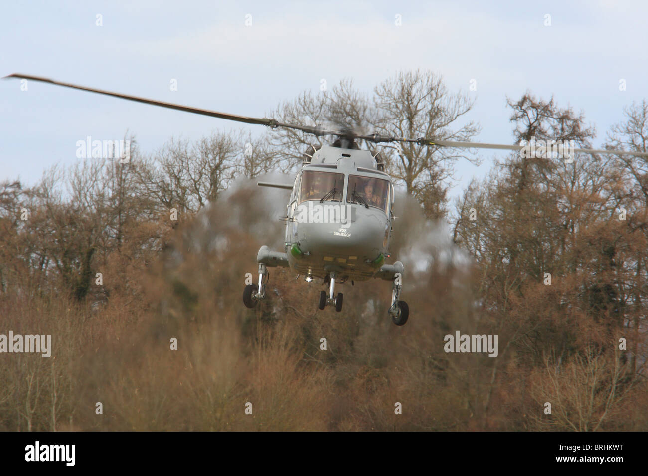 ZD250 Super Lynx 100 702 SQN Naval Air squadron NAS Foto Stock