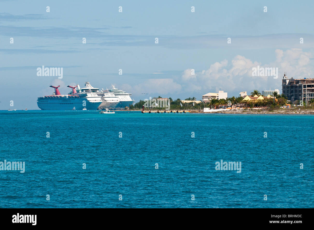 Messico, Cozumel. Navi da crociera da Dolphin Discovery al Chankanaab Park, San Miguel, Isla Cozumel, Cozumel Island. Foto Stock