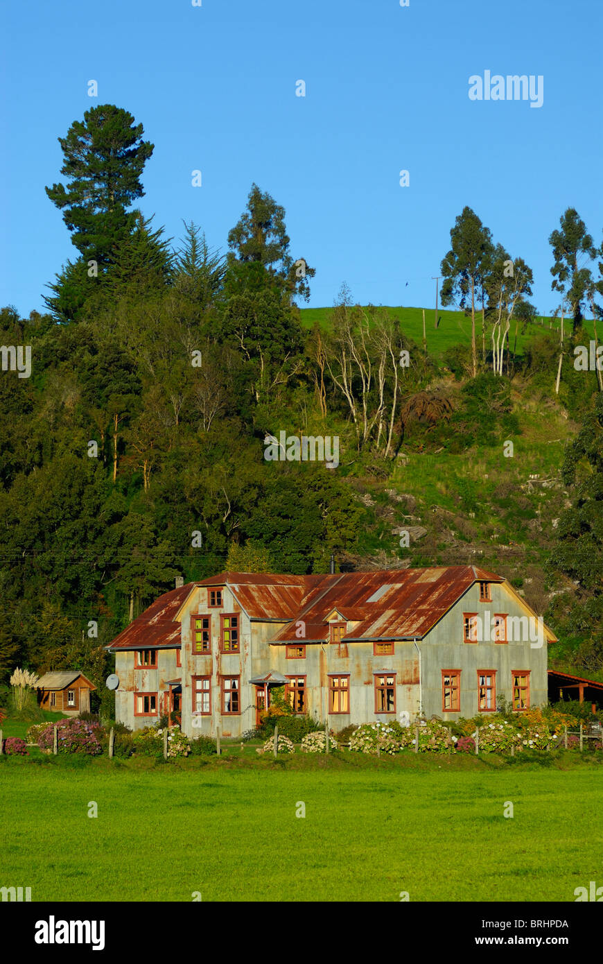 La Ruta de los Colonos, strada tra Frutillar e Puerto Octay nella regione X de los Lagos, nel nord della Patagonia cilena, Cile Foto Stock