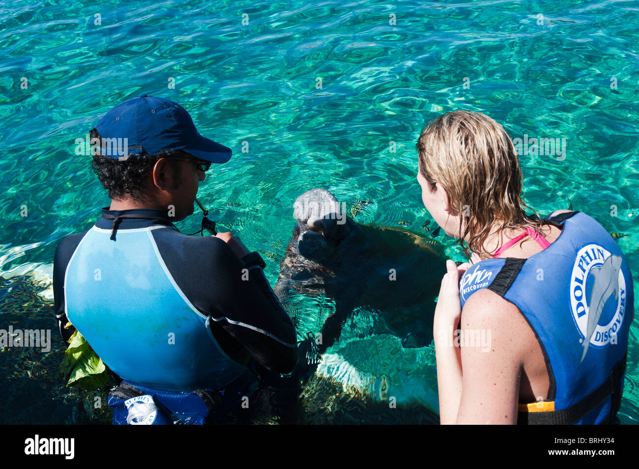 Messico, Cozumel. Scoperta dei delfini al Chankanaab Park, Isla Cozumel, Cozumel Island. Foto Stock