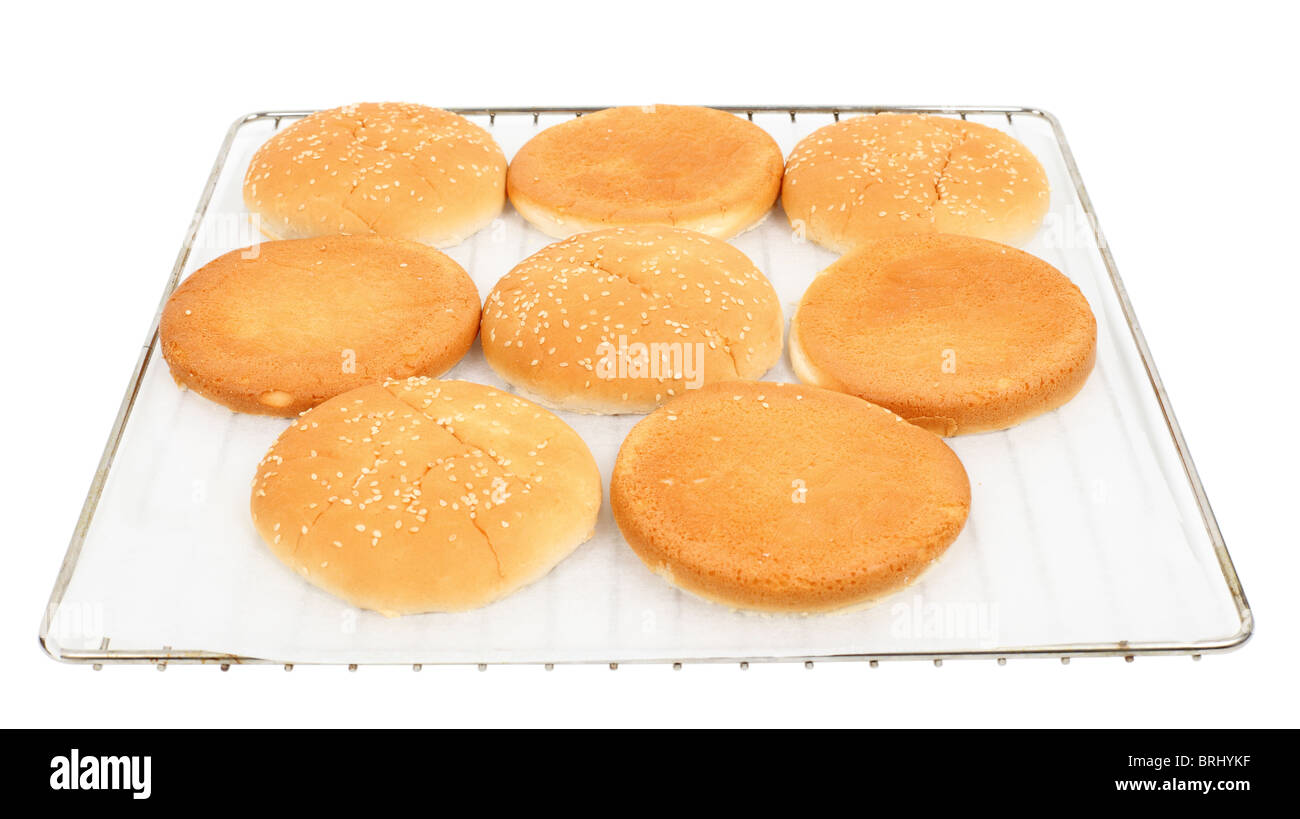 Burger panini sul vassoio da forno isolate su sfondo bianco Foto Stock
