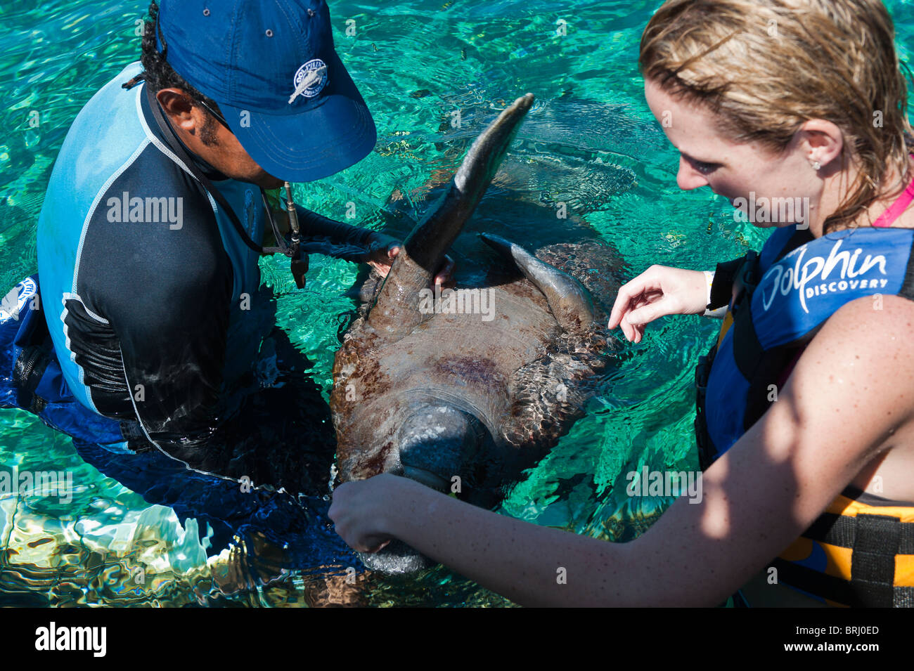 Messico, Cozumel. Dolphin Discovery a Chankanaab Park, Isla de Cozumel (Isola di Cozumel). Foto Stock