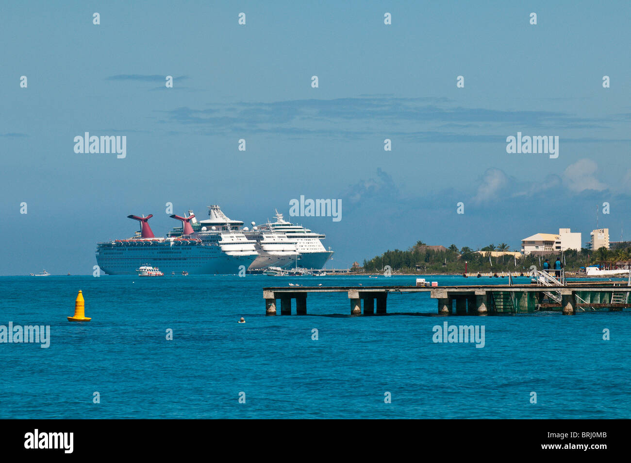 Messico, Cozumel. Scoperta dei delfini al Chankanaab Park, San Miguel, Isla Cozumel, Cozumel Island. Foto Stock