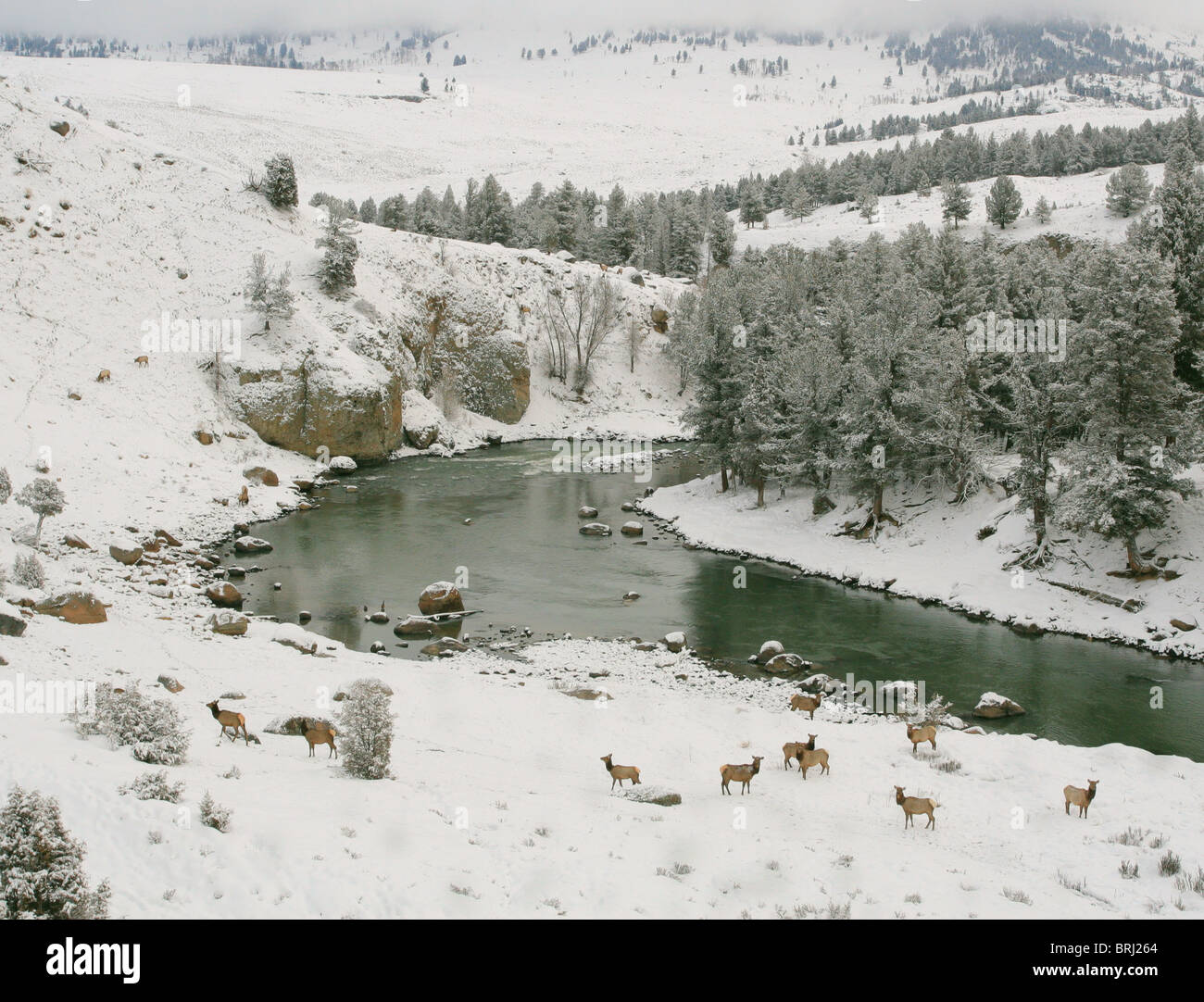 Superiore di Yellowstone River Foto Stock