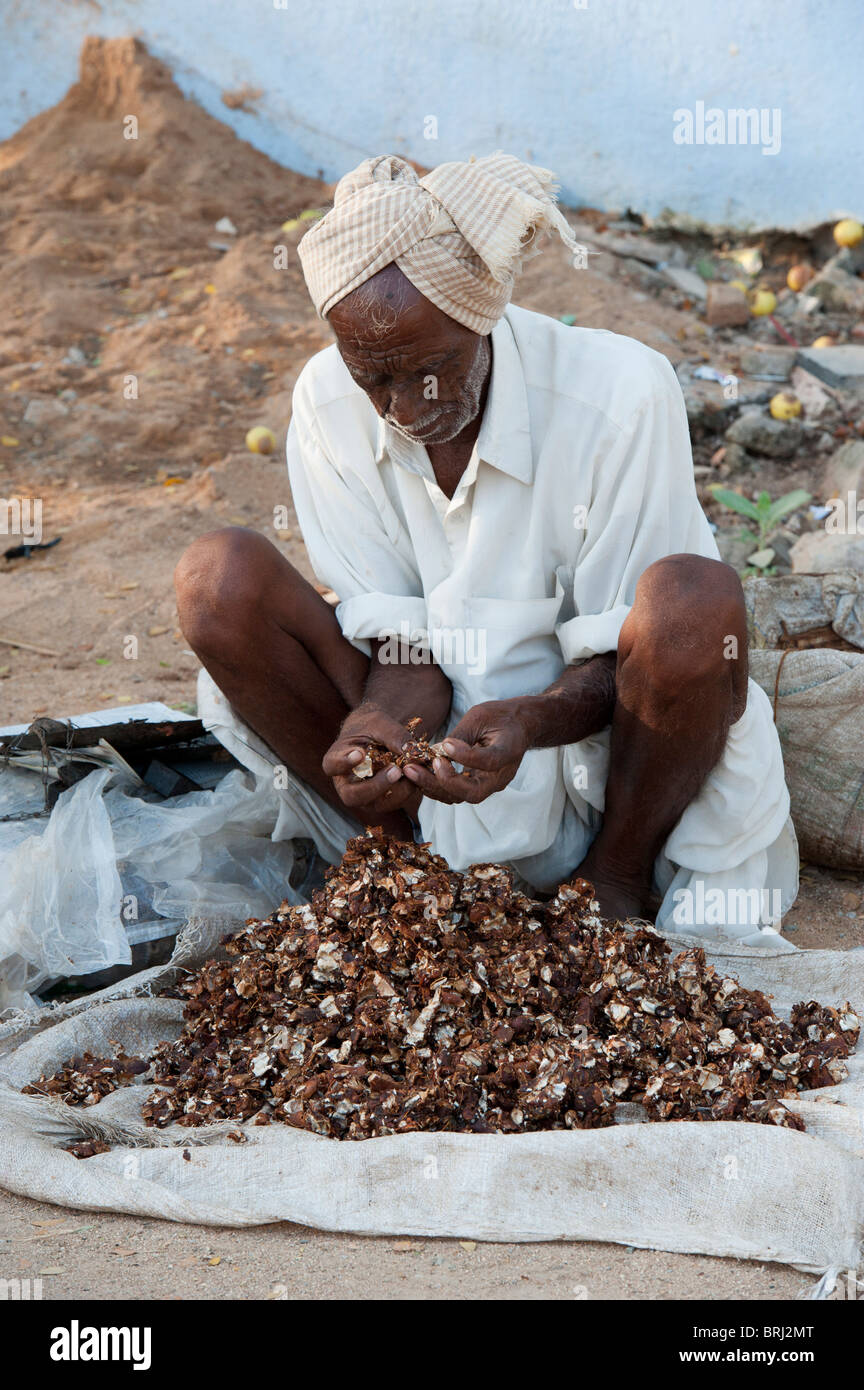 Il vecchio uomo indiano di tamarindo di vendita sulla strada Foto Stock