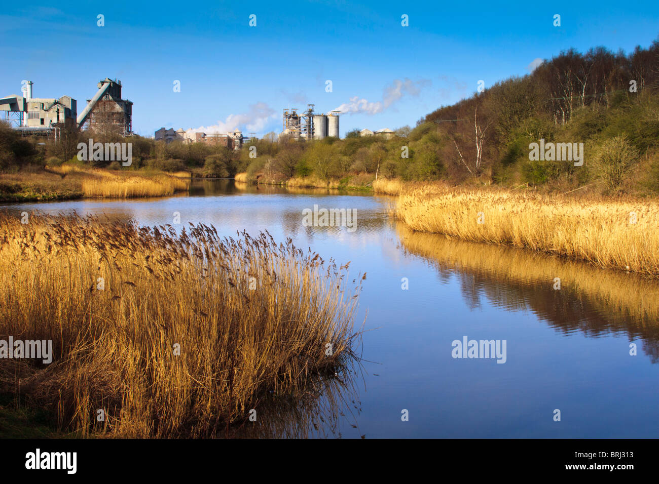 Linea di pettini le rive del fiume weaver nel Cheshire con ciminiere in background Foto Stock