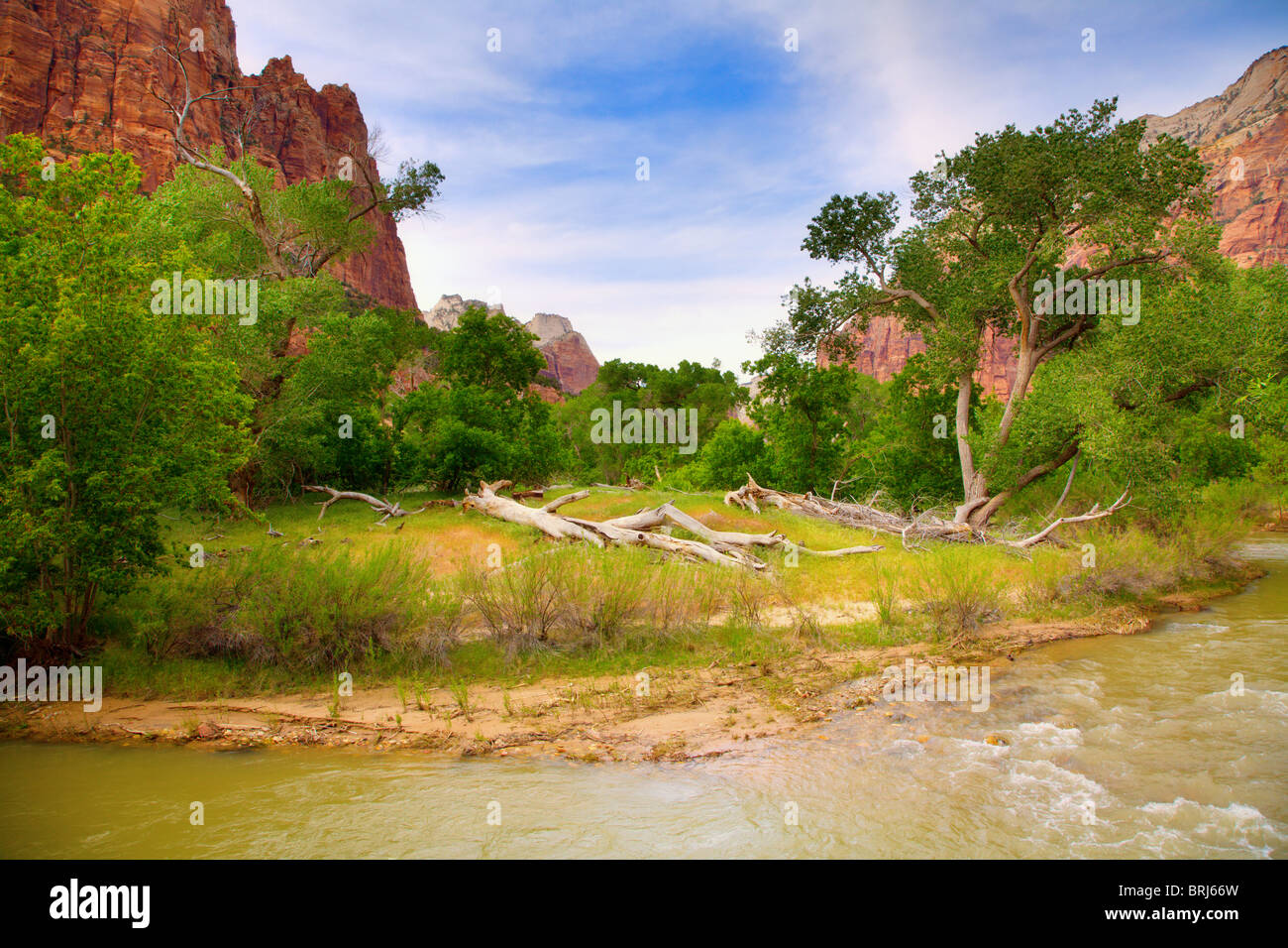 Fiume vergine nel Parco Nazionale di Zion Foto Stock