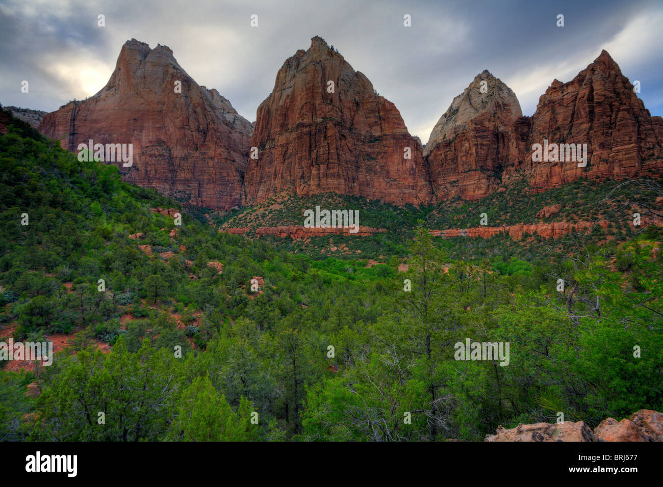 Parco Nazionale di Zion Foto Stock