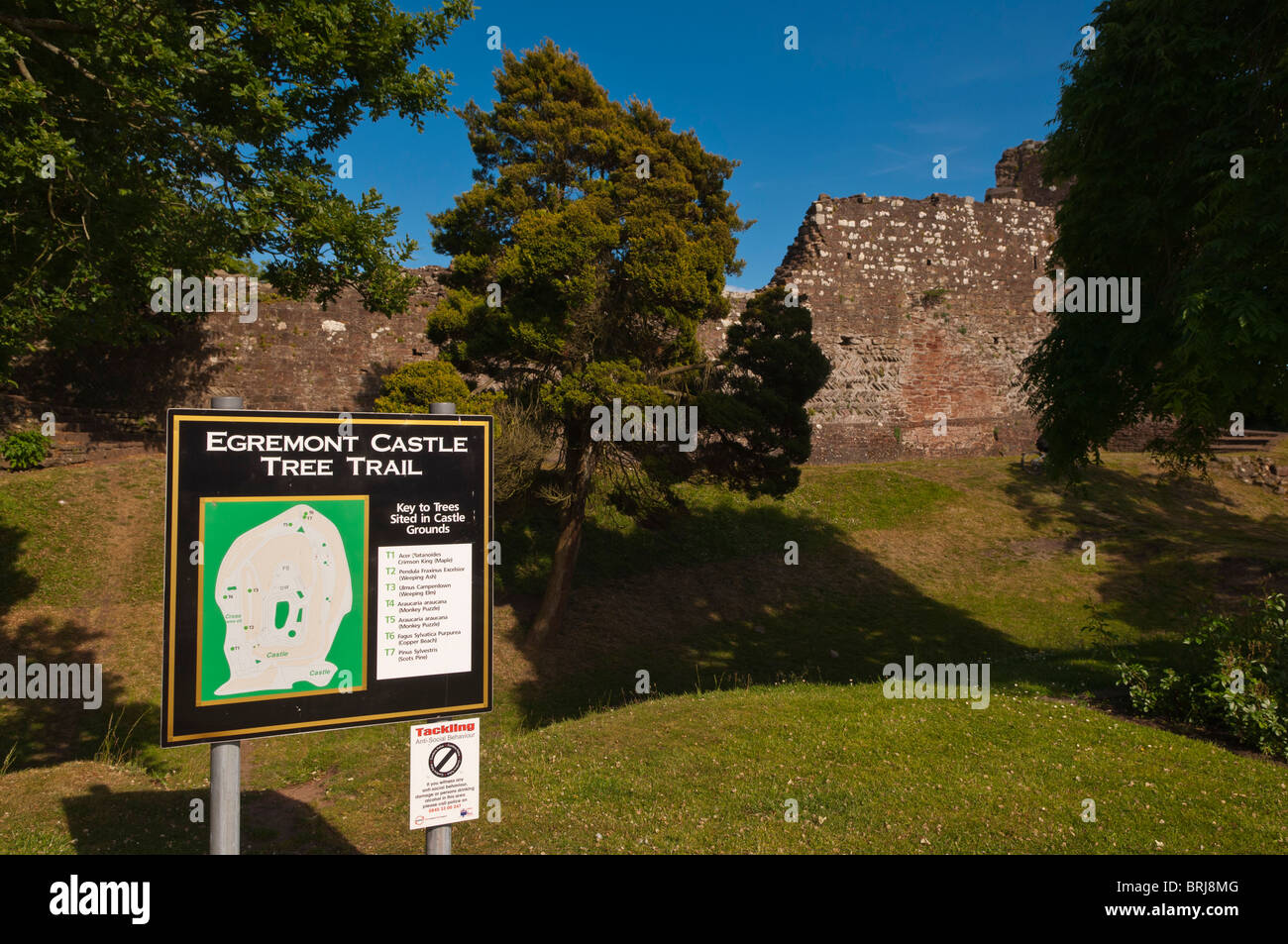 Egremont castello in Egremont , Cumbria , in Inghilterra , Gran Bretagna , Regno Unito Foto Stock