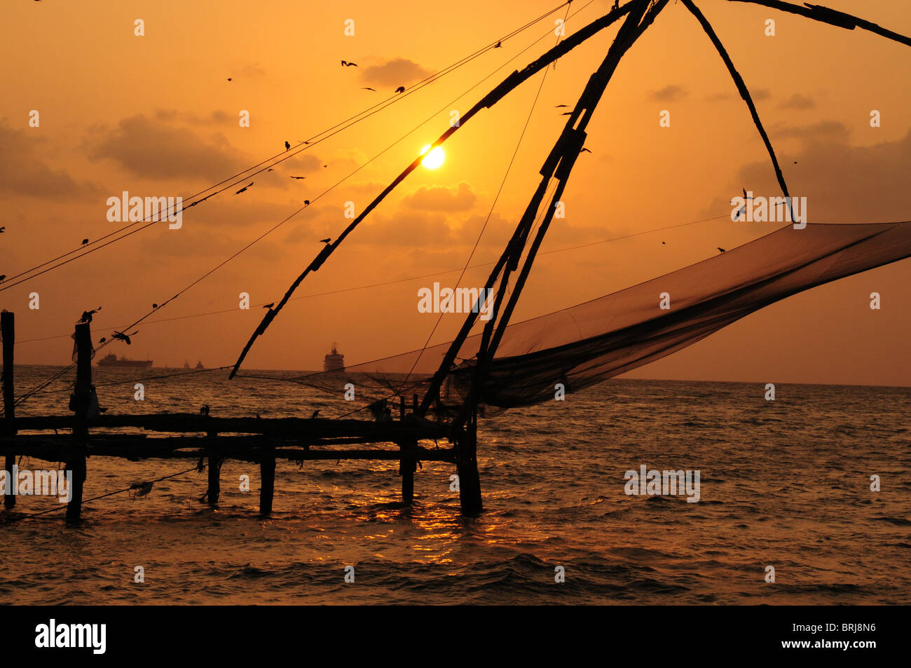 Sud India Maggio 2010- Kerala e Tamil Nadu. Sono queste le famose spiagge e lagune. Cinese di reti da pesca Foto Stock