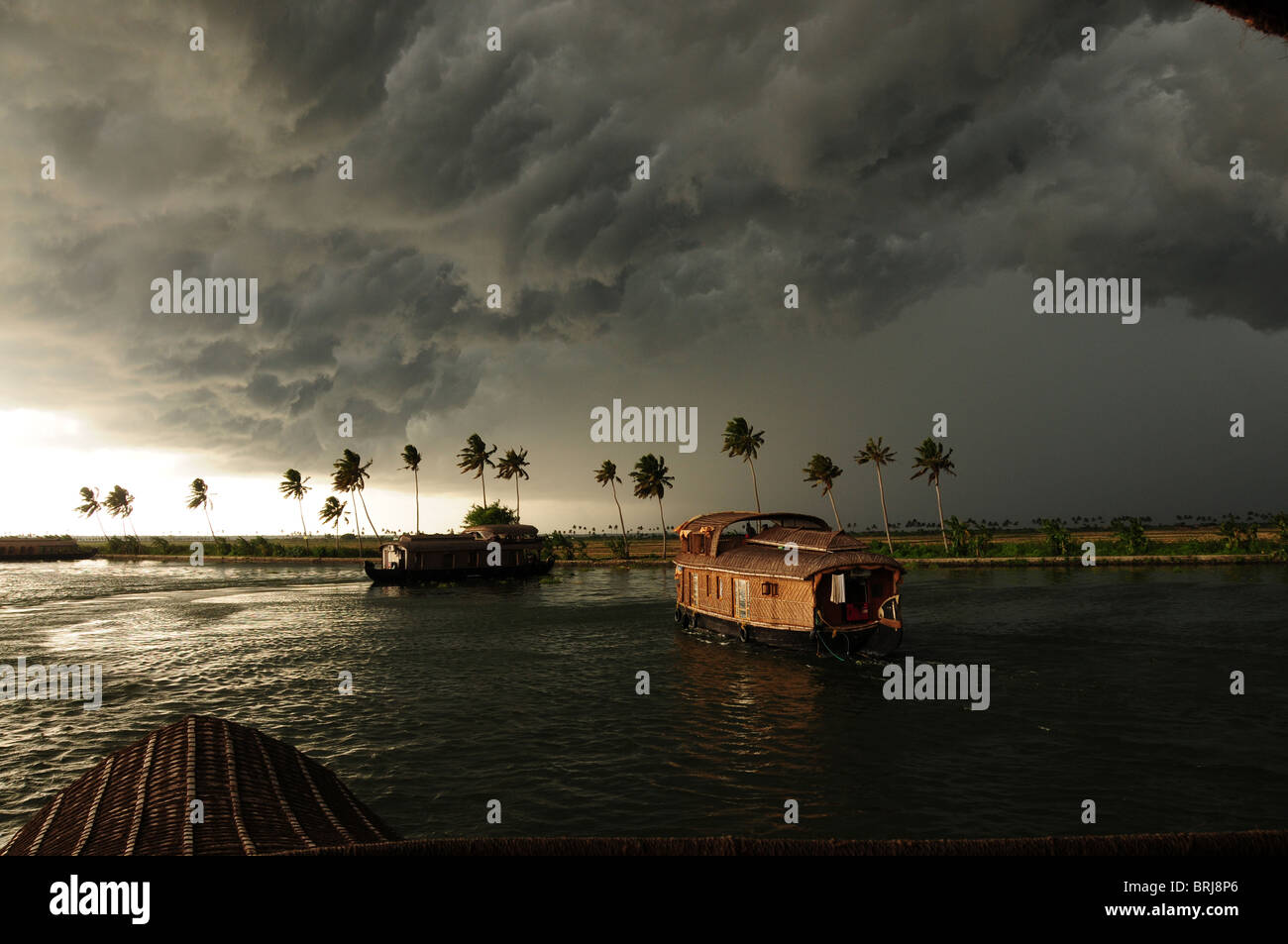 Sud India Maggio 2010- Kerala e Tamil Nadu. Sono queste le famose spiagge e lagune. Cinese di reti da pesca Foto Stock