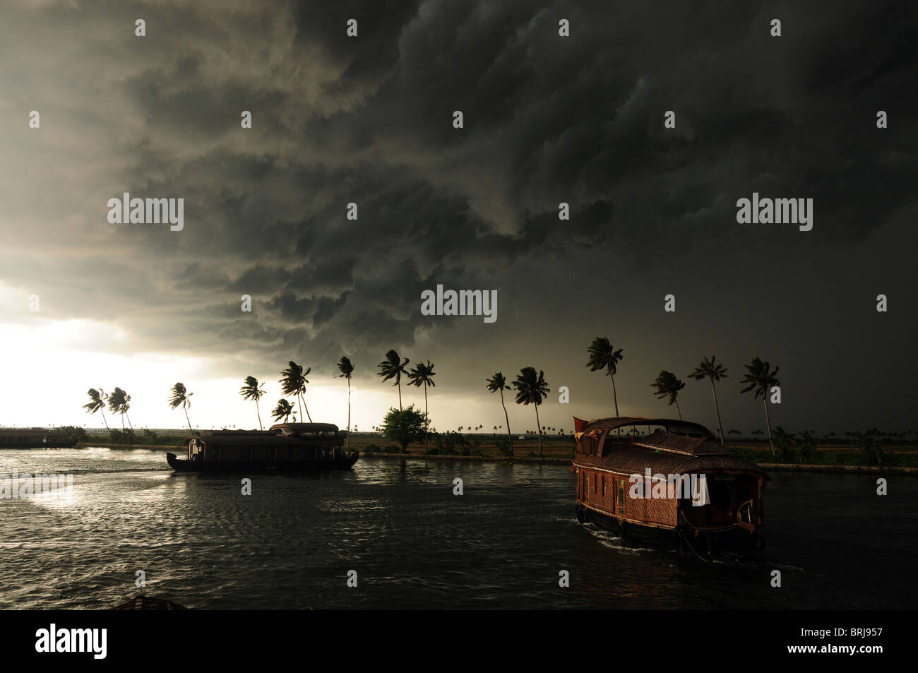 Sud India Maggio 2010- Kerala e Tamil Nadu. Sono queste le famose spiagge e lagune. Cinese di reti da pesca Foto Stock