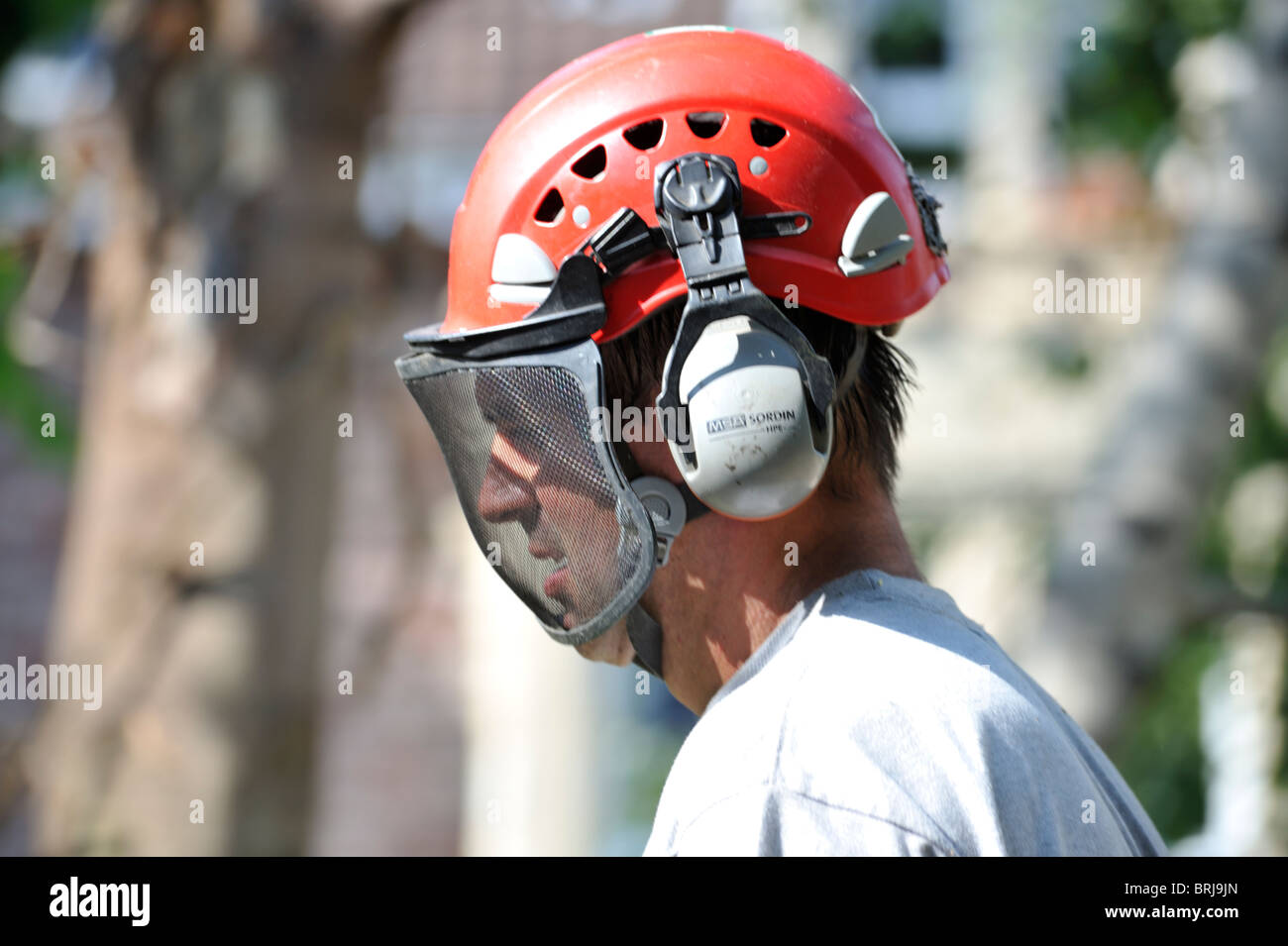 Uomo con 'albero chirurghi' style casco di sicurezza, mesh visiera e le cuffie di protezione Foto Stock