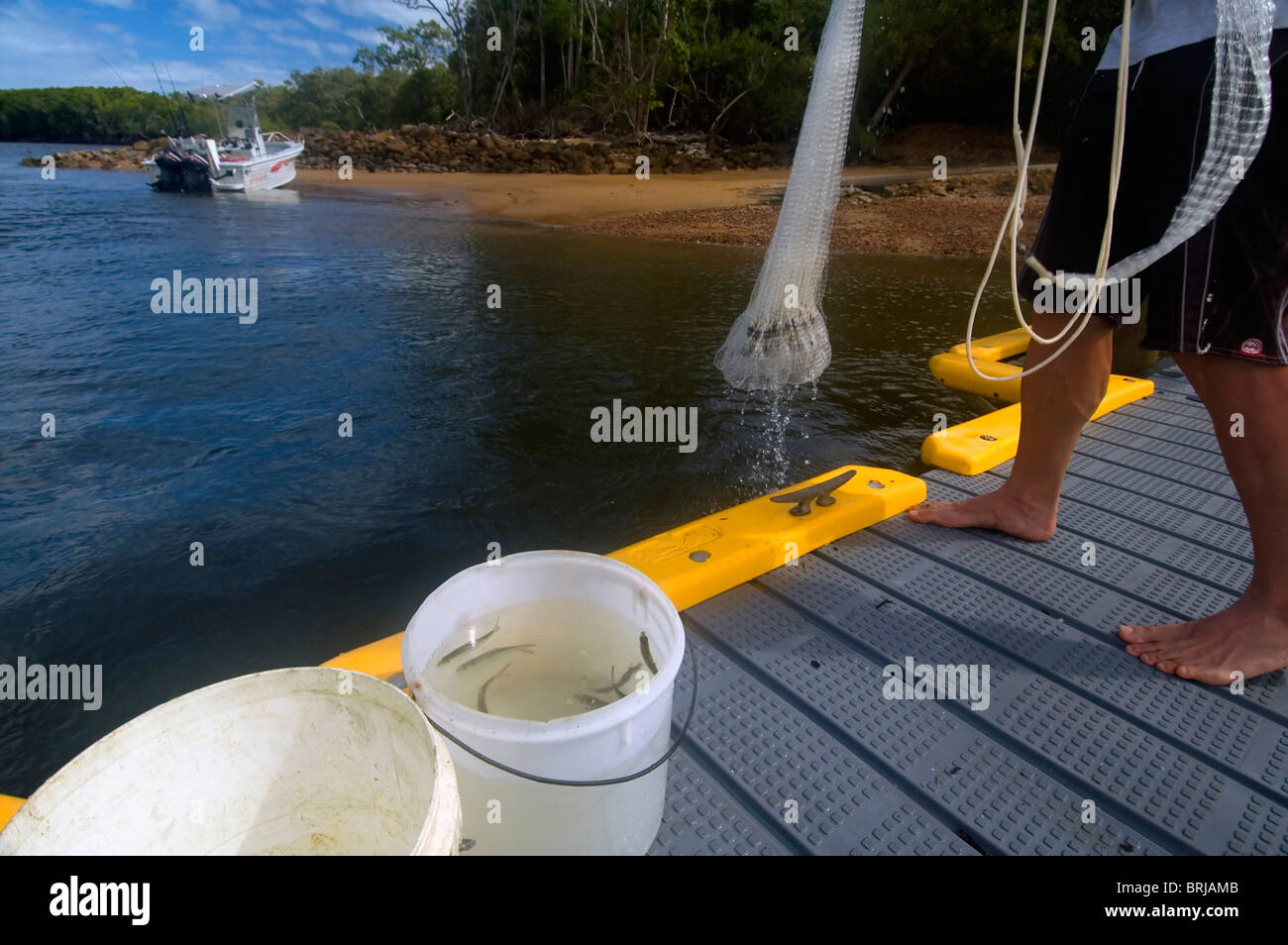 Uomo con castnet e la benna di esca pesci - la pesca sportiva in North Queensland. No signor o PR Foto Stock